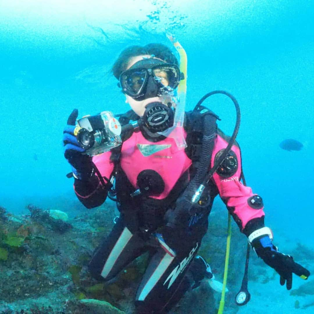 矢田優季のインスタグラム：「海で癒されたーい✨ . . 火傷したり骨折したりしてたらすっかりと ご無沙汰なダイビング 気持ちはあれど寒さに冬場はしりごみします 笑 ダイビングの前に温泉かなー 笑. .  あったかくなってきたら再開したいです(*´ ˘ `*)♡ . . #群馬テレビ #GTV #アナウンサー #プライベート #休日の過ごし方 #海 #潜りたい #ダイビング #スキューバダイビング #旅行 #趣味 #好きなこと #へたくそ #上手になりたい #ドチザメ #エイ #カサゴ #癒し #水中 #音 #呼吸 #間があいちゃったな #今年は #怪我しない #千葉県 #伊戸 #ちょっぴり #びびり #叫んで #すっきり」