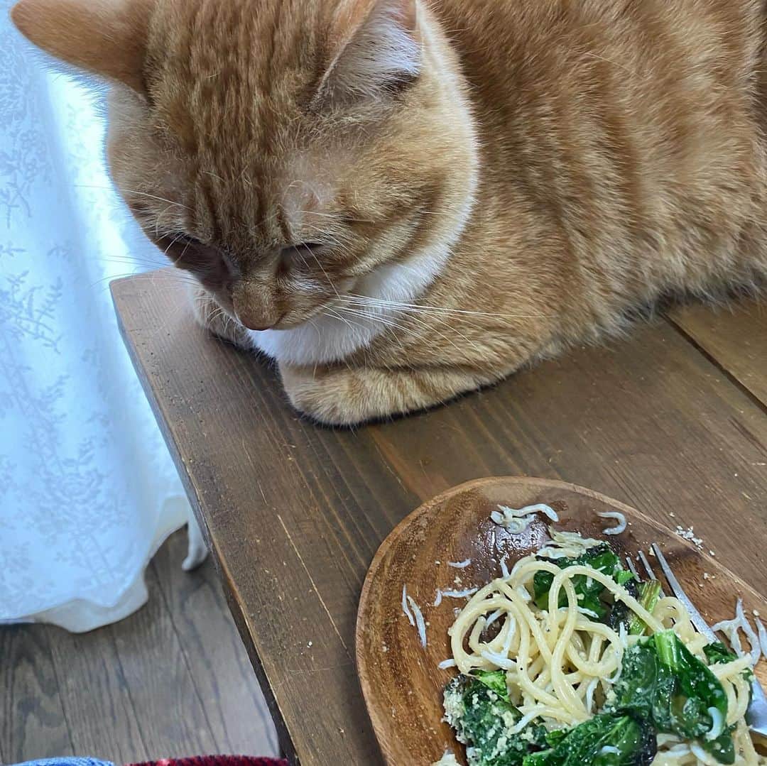 金巻ともこのインスタグラム