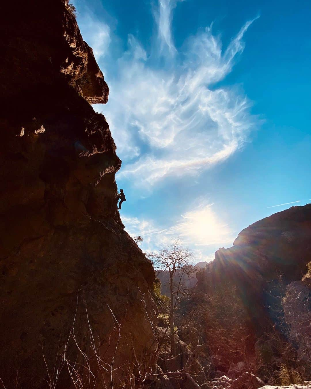 ジェイソン・ルイスさんのインスタグラム写真 - (ジェイソン・ルイスInstagram)「President’s Day was well spent hanging out with some of the best 🧗🧗🧗🏼‍♀️🧗🏼shots by @liz_godwin」2月20日 0時57分 - jasonleelewis