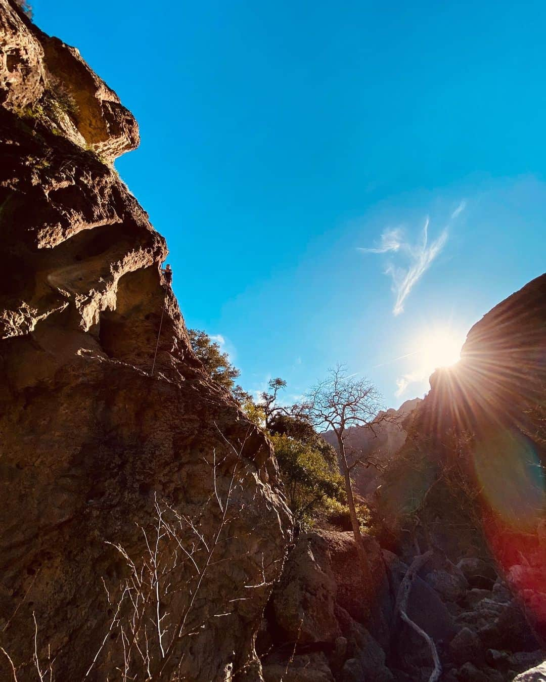 ジェイソン・ルイスさんのインスタグラム写真 - (ジェイソン・ルイスInstagram)「President’s Day was well spent hanging out with some of the best 🧗🧗🧗🏼‍♀️🧗🏼shots by @liz_godwin」2月20日 0時57分 - jasonleelewis