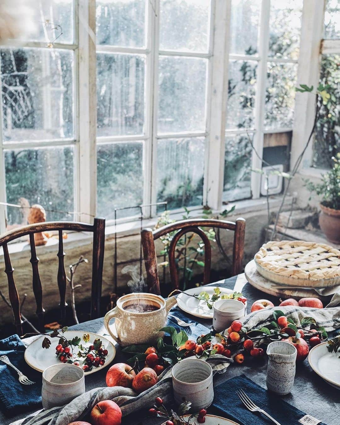 Our Food Storiesさんのインスタグラム写真 - (Our Food StoriesInstagram)「One of the most beautiful greenhouses for sure @mellby_klockargard 🌿✨🤗 #ourfoodstories_travel  ____ #greenhouselife #greenhouses #rusticstyle #countrysidelife #countrysideliving #momentslikethese #fellowmag #simplejoys #chasinglight #huffposttaste #glutenfreerecipes #germanfoodblogger #foodstylist #foodphotographer」2月20日 0時58分 - _foodstories_