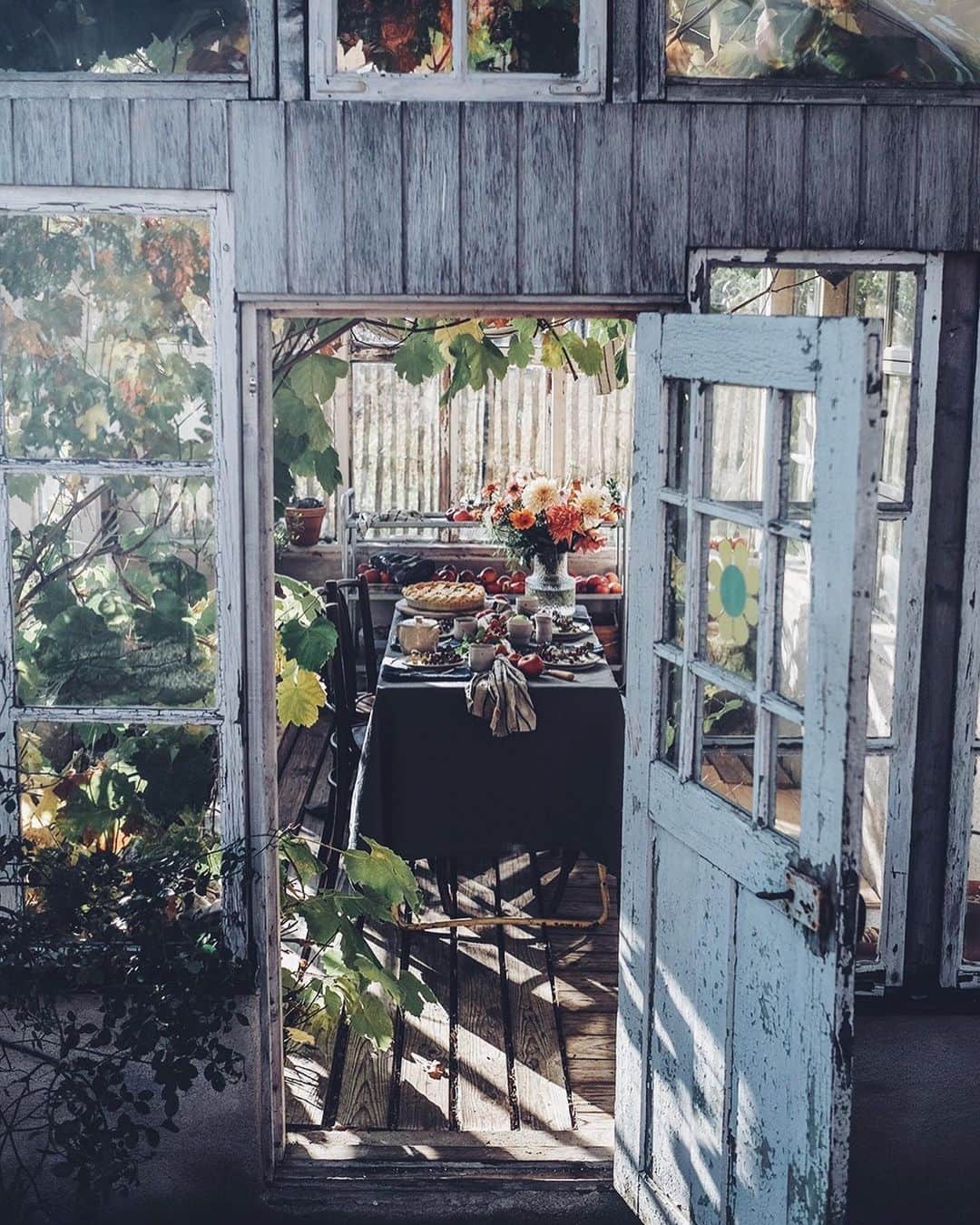 Our Food Storiesさんのインスタグラム写真 - (Our Food StoriesInstagram)「One of the most beautiful greenhouses for sure @mellby_klockargard 🌿✨🤗 #ourfoodstories_travel  ____ #greenhouselife #greenhouses #rusticstyle #countrysidelife #countrysideliving #momentslikethese #fellowmag #simplejoys #chasinglight #huffposttaste #glutenfreerecipes #germanfoodblogger #foodstylist #foodphotographer」2月20日 0時58分 - _foodstories_