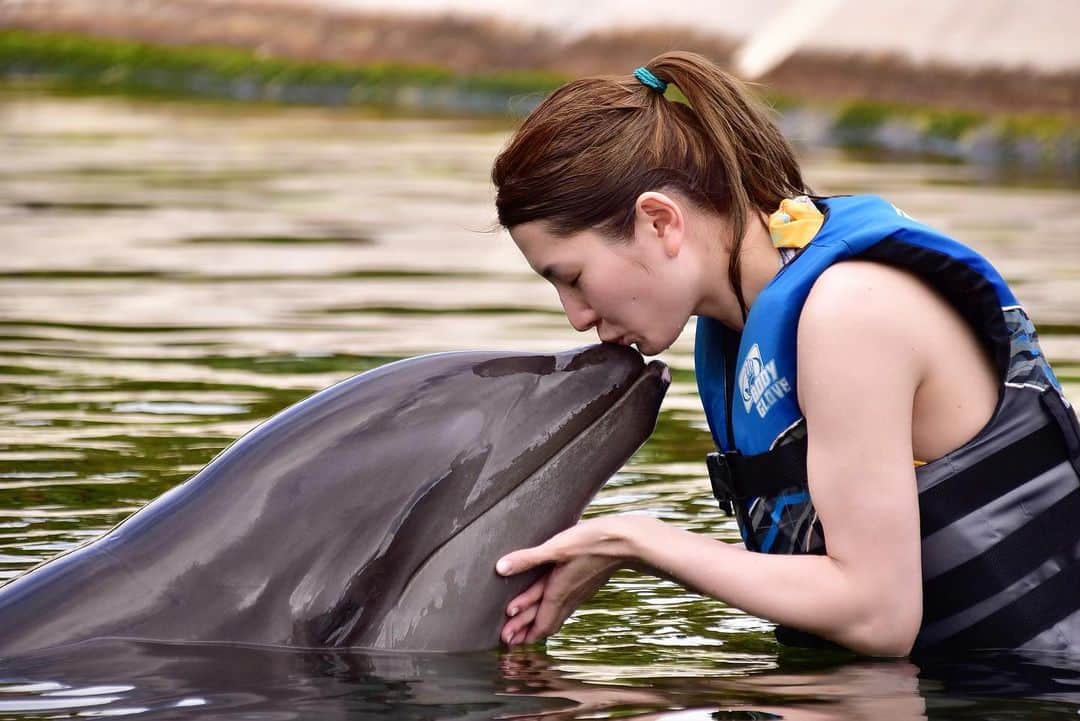 中田有美さんのインスタグラム写真 - (中田有美Instagram)「イルカに会いに行きました🐬💓﻿ ﻿ めっちゃ可愛いかった😊﻿ ﻿ 世界でここだけにウォルフィン(イルカとクジラのハーフ)もいるみたい✨﻿ ﻿ それがこの子らしい🥰﻿ ﻿ 会えてラッキーでした✌🏻﻿ ﻿ I met a wholphin.❤️❤️﻿ ﻿ #ウォルフィン﻿ #シーライフパーク﻿ #sealifepark﻿ #wholphin﻿ ﻿ ﻿ #usa #hawaii #ocean #love #trip #tourism #instagood #instadaily #dolphin #y_n_yumi #yuminakata #中田有美 #japanesegirl」2月20日 2時28分 - yumi_5287