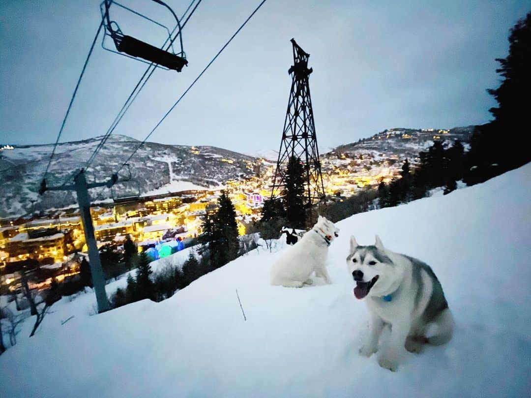 ケン・ブロックさんのインスタグラム写真 - (ケン・ブロックInstagram)「This view makes me smile, every time. Our Siberian Huskies, Park City all lit up at night, a ton of snow, and a fun snowboard run back home. #mountaintownlife #YukiTheDestroyer #BentleyChickenFingersBlock #ParkCity」2月20日 4時56分 - kblock43