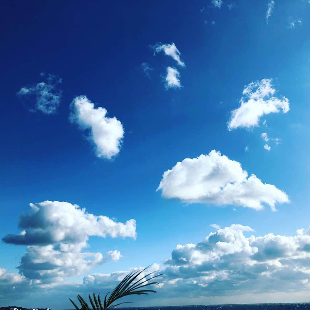 Tammyさんのインスタグラム写真 - (TammyInstagram)「果てしなく大きな空。  大きな宇宙。  大きな地球。  全部は見えない。  それでも星は見える。  目が見えるありがたさ。  匂える鼻を持ち、  心を言葉に出来る。  出来ない時も、  裸の心と耳を澄ませば。。 . その時の奇跡。  信じて、感じて、覚悟して、  息をする。  その下で  生かされてる  小さな小さな小さな命。  生まれて還るまで、  記憶の中の  愛を信じて。  失った  悲しみを抱いて、  今いる、  小さな自分の命をただただ、信じて。  心繋がる、喜びを願って。  #Tammy #Tammyyanen #photo #シンガーソングライター #唄 #ギター #singer #songwriter #guitar #sky #music #song #恩学 #音楽 #想い #art  #love #life #命 #地球 #宇宙 #人生 #今 #信じて #夢見て #自分の全部で #自分らしく #myself #願い #hope」2月20日 5時03分 - tammyyanen