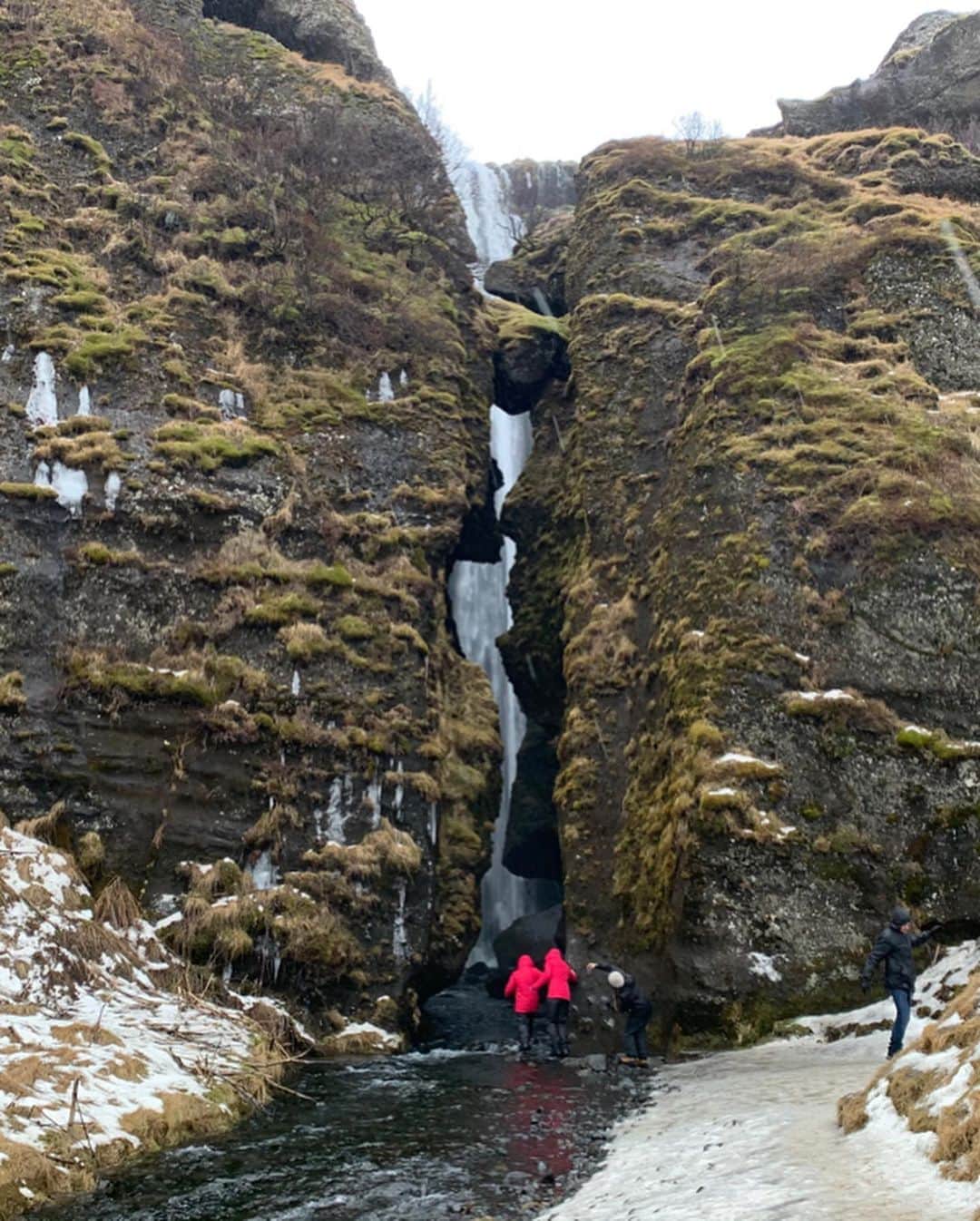 早川茉希さんのインスタグラム写真 - (早川茉希Instagram)「【氷と火山のアイスランドという国🇮🇸】 ・ 祝日の三連休を使って、2泊4日の弾丸で アイスランドへ行ってきました✈️ ・ あまり日本人には馴染みがなく アイスランド？アイルランド？🙃 という人も多いのですが、 ストーリー写真の反響が大きかったので ぜひご紹介させてください❣️😍 ・ アイスランドは、北米大陸とヨーロッパの間に位置する 北海道より少し大きいくらいの島国。 人口は約36万人しかいません。  火山活動が活発ですが、街からは離れているので 直接的な被害者はほとんど出ていないのだとか🌋 地底探索ツアーも人気！  すごく寒いイメージだったけれど 冬でも0度くらいとそこまで寒くなく（風が強いと寒かったけど🥶） 9月〜翌4月中旬の約8カ月近く オーロラが見られます💫💚 ・ オーロラは気象条件にかなり左右されるので １週間くらい滞在している人が多かった！ 私は運が良いことに、2日目の夜に うっすらと見ることが出来ました😭✨ ・ アイスランドは物価が高くて日本の1.5〜3倍‼️ 街はとても清潔感があって、子ども連れや 女子旅、一人旅の女性も多かった😊✨ 女性人気が高いみたい💕  今回、効率的に回るためツアーに参加して 滝やビーチ、氷の洞窟などを訪れました！  特に氷の洞窟が最高だった🥺❄️ また詳細も投稿します💪🏻 ・ #iceland #reykjavik #reykjavikiceland #icecave #blacksandbeach #アイスランド #アイスランド旅行 #タビジョ #tabijyo #tabippo #旅行好きな人と繋がりたい #氷の洞窟 #ブラックサンドビーチ #ダイヤモンドビーチ #三連休の過ごし方 #弾丸アイスランド #オーロラ #世界最大の露天温泉 #温泉好き #♨️ #🧊 #🌋 #🇮🇸 #加工なし📷」2月20日 5時32分 - maki_hayakawa