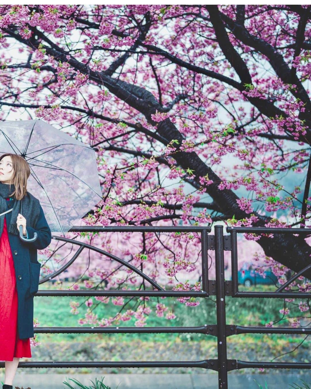 kenta_soyoungさんのインスタグラム写真 - (kenta_soyoungInstagram)「🌸☔️ . . . 雨の日だって写真は楽しい。 model: @nanamihark_a」2月20日 9時01分 - kenta_soyoung