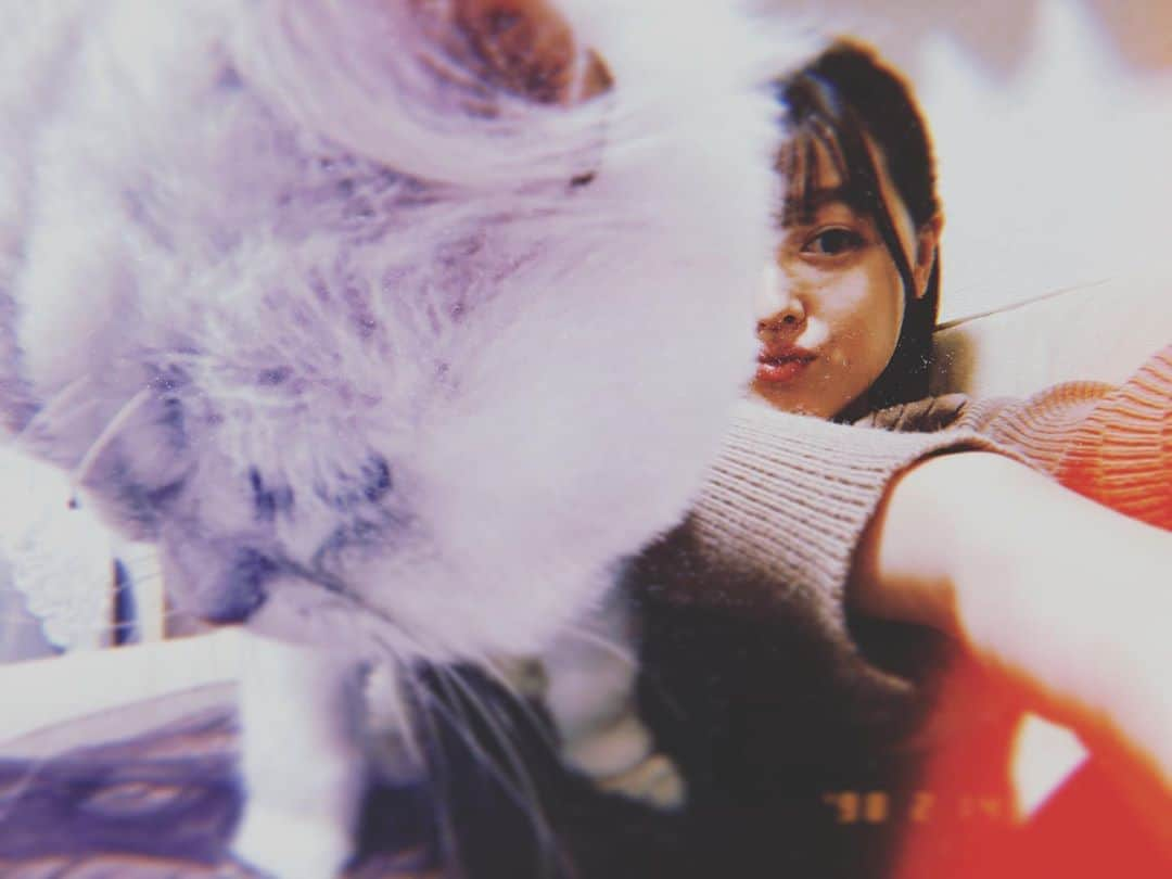 久住小春さんのインスタグラム写真 - (久住小春Instagram)「🐈」2月20日 9時45分 - koharu_kusumi.official