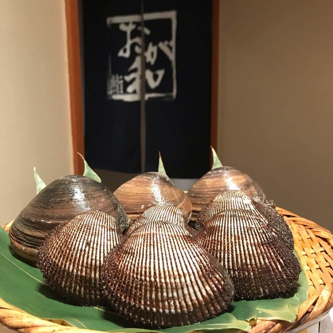 鮨おが和さんのインスタグラム写真 - (鮨おが和Instagram)「北海道産の北寄貝と宮城県閖上産の赤貝です#貝#貝類#活貝#北海道#宮城県#閖上#北寄貝#赤貝#新宿３丁目#鮨#熟成鮨#熟成鮨おが和#🍣」2月20日 10時58分 - jukuseisushi.ogawa