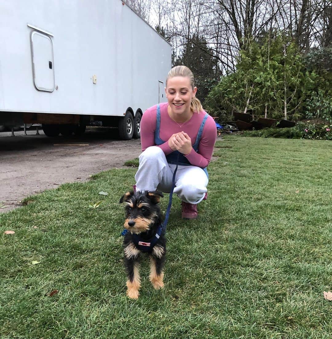 リリ・ラインハルトのインスタグラム：「This is my new baby. He has quickly become a great love of mine. Meet Milo ❤️ my rescue sweetheart from @fureverfreed 🐶」