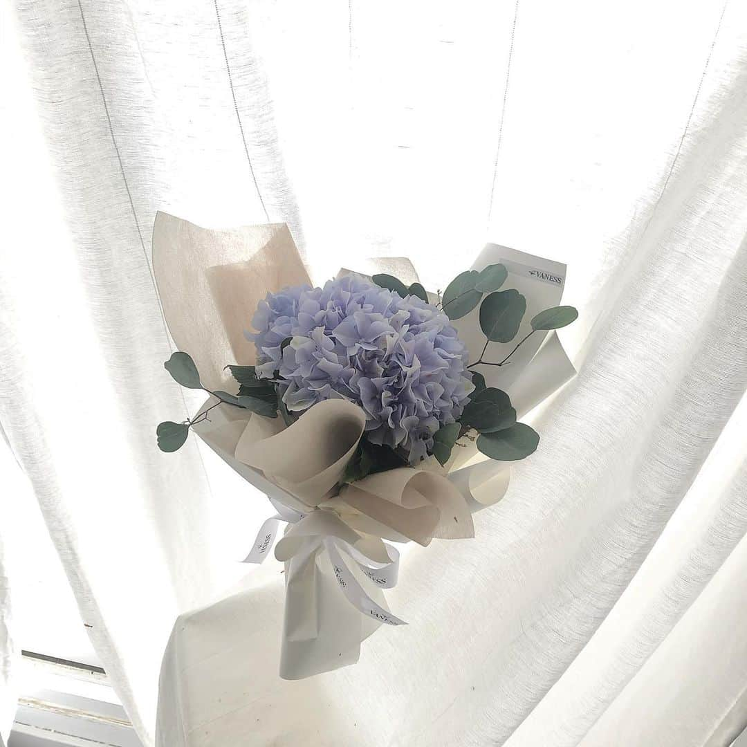 플로리스트 이주연 florist Lee Ju Yeonさんのインスタグラム写真 - (플로리스트 이주연 florist Lee Ju YeonInstagram)「. . 아침에 나간 뽀송이 좋은 선물 되세요 ✨ . . #수국 #수국꽃다발 #바네스꽃다발 . . 订花 WeChat ID vaness_flower 클래스상시모집 당일꽃주문가능 #수업문의 #주문예약 #lesson #Order  Katalk ID vaness52 WeChat ID vaness_flower E-mail vanessflower@naver.com . 강남구 역삼동608-16 📞02-545-6813 . #vanessflower #florist #flowershop #handtied #flowerlesson #花束 #花束包装 #바네스플라워 #플로리스트 #꽃다발 #웨딩부케 #역삼역꽃집 #언주역꽃집 #플라워레슨 #꽃다발주문 #꽃수업 #기업출강 #꽃주문  #대관 #공간대여 #공간쉐어 #강남대관 #세미나대관」2月20日 12時11分 - vanessflower