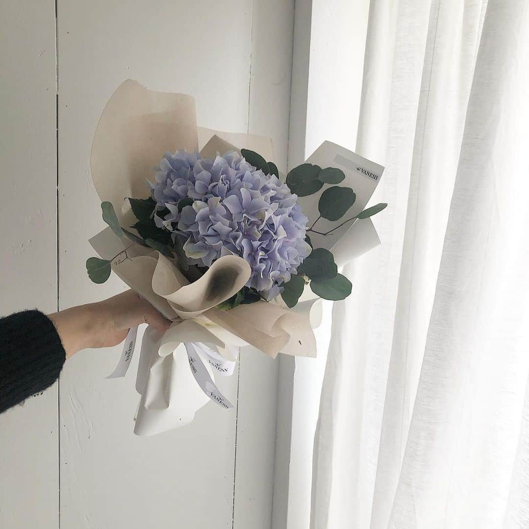 플로리스트 이주연 florist Lee Ju Yeonさんのインスタグラム写真 - (플로리스트 이주연 florist Lee Ju YeonInstagram)「. . 아침에 나간 뽀송이 좋은 선물 되세요 ✨ . . #수국 #수국꽃다발 #바네스꽃다발 . . 订花 WeChat ID vaness_flower 클래스상시모집 당일꽃주문가능 #수업문의 #주문예약 #lesson #Order  Katalk ID vaness52 WeChat ID vaness_flower E-mail vanessflower@naver.com . 강남구 역삼동608-16 📞02-545-6813 . #vanessflower #florist #flowershop #handtied #flowerlesson #花束 #花束包装 #바네스플라워 #플로리스트 #꽃다발 #웨딩부케 #역삼역꽃집 #언주역꽃집 #플라워레슨 #꽃다발주문 #꽃수업 #기업출강 #꽃주문  #대관 #공간대여 #공간쉐어 #강남대관 #세미나대관」2月20日 12時11分 - vanessflower