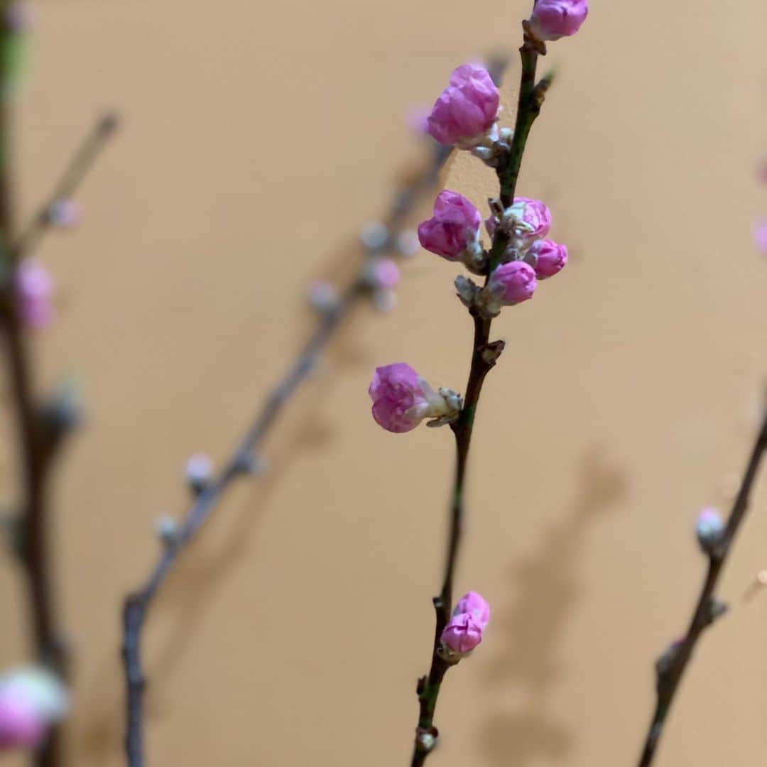 魔女菅原のグルメインスタ