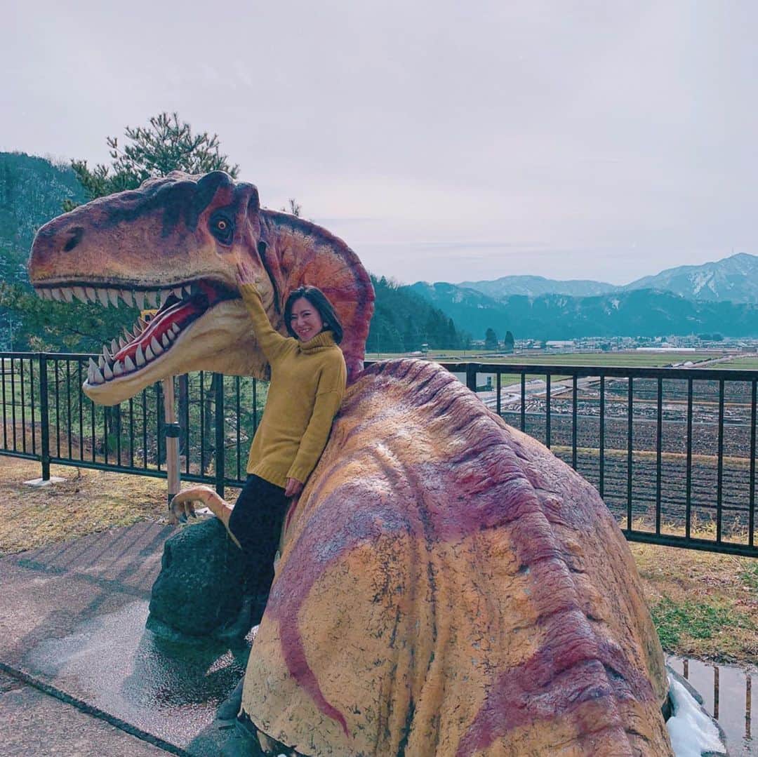 長嶺菜菜子さんのインスタグラム写真 - (長嶺菜菜子Instagram)「﻿ ✈︎福井観光﻿ ﻿ ﻿ わざとらしさ💯💯💯💯💩﻿ ﻿ ﻿ こういうの撮るの苦手なんだけど😗﻿ ﻿ ﻿ 自然に撮りたい﻿ ﻿ ﻿ けど﻿ こんな恐竜いたら﻿ 一目散で逃げる🏃‍♀️💨💨💨💨💨💨﻿ ﻿ ﻿ ﻿ ﻿ ちなみに﻿ ﻿ 写真は石川県小松空港✈️にいる恐竜🦖﻿ ﻿ ﻿ 本場は福井県にある恐竜博物館だからね👈﻿ ﻿ 6枚目からが本場の恐竜博物館の写真。﻿ ﻿ ﻿ そこ、間違わんといてね🙏﻿ ﻿ ﻿ ﻿ 石川県の空港で福井県の観光名所をPRしてる﻿ ﻿ 福井県は恐竜に助けられてるな﻿ ﻿ 恐竜様々やん🦕🦖🦕﻿ ﻿ ﻿ #福井観光﻿ #恐竜博物館﻿ #旅なな」2月20日 12時41分 - na7co0422