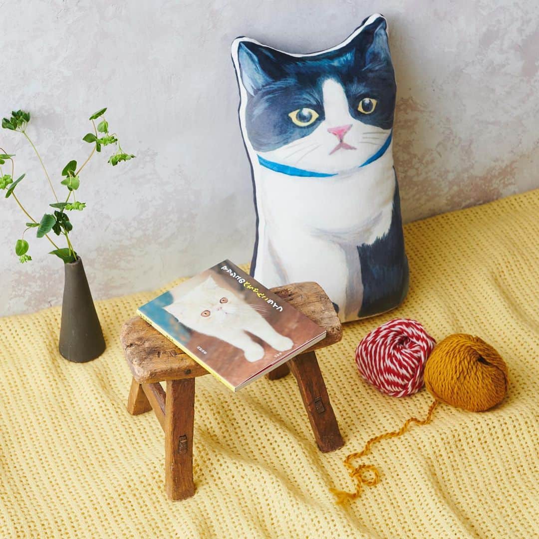 ルミネ北千住さんのインスタグラム写真 - (ルミネ北千住Instagram)「・ #2月22日は猫の日 ・ #アフタヌーンティーリビング では「Catʼs Nap Time」シリーズ第5弾として、みんな大好き猫ちゃんのグッズを販売。 #ブックファースト の一押しは、 SNSで大人気の猫・マッシュの新作フォトブック。かわいい猫ちゃんの姿に癒されてみては？ ・ #クッション ¥3,200+tax Afternoon Tea LIVING/4F #マッシュのぺちゃんこライフ ¥1,320+tax Book1st./8F」2月20日 12時59分 - lumine_kitasenju