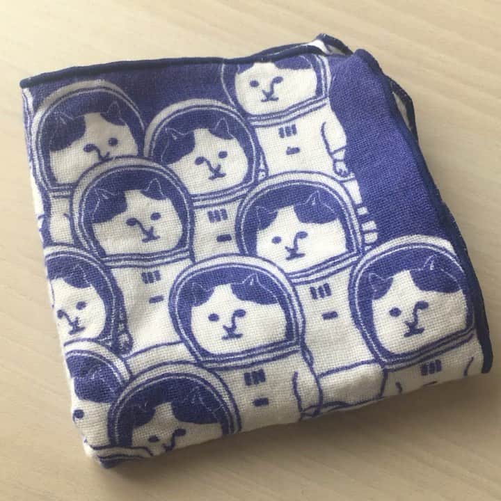ねこのインスタグラム