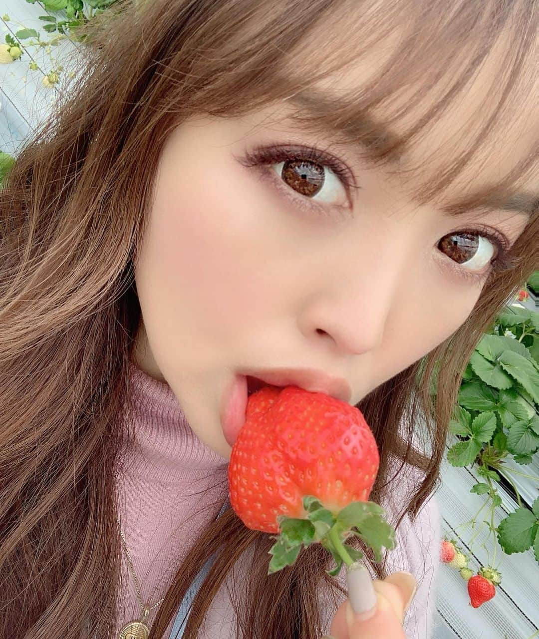 板橋瑠美さんのインスタグラム写真 - (板橋瑠美Instagram)「🍓。﻿ ﻿ ﻿ ﻿ 恋みのり♡﻿ ﻿ って品種らしい♡﻿ 名前可愛すぎる💘﻿ ﻿ ﻿ 鹿児島のロケで【農園ガーデン空】へ行って、 今年初の、イチゴ狩りしたよ♡🍓﻿が大き過ぎて水々しいしビックリ💕 ﻿ ゴルフ練習場もあったし、﻿ 可愛いインスタ映えスポットがたくさんあって﻿ とても良かった💕﻿ ﻿ また行きたいなー☻﻿ ﻿ ﻿ ﻿ #鹿児島　#農園ガーデン空」2月20日 14時09分 - rumi_official_0616