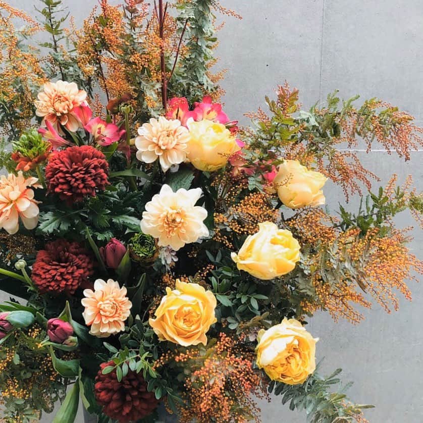 杉下理世のインスタグラム：「🌼Mimosaアレンジメント🌼 店舗の装花にもとってもオススメなミモザ♡ 場が華やぐことはもちろん、目で楽しみながら季節を感じられるお花です💐 #mimosa #ミモザ #フラワーアレンジメント #花屋 #flower #flowershop #flowerdesign #flowerdesigner #フラワーデザイナー」