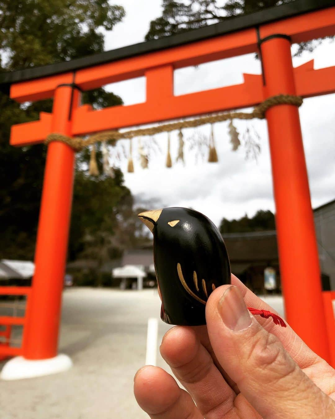 武井壮さんのインスタグラム写真 - (武井壮Instagram)「八咫烏みくじ引いてきた フットボールクラブの監督としては やはり八咫烏は避けて通れない 『問題はあるが突き抜ける力があれば道は大きく開かれる』 って書いてあった！！！ やったろかい！！」2月20日 17時07分 - sosotakei