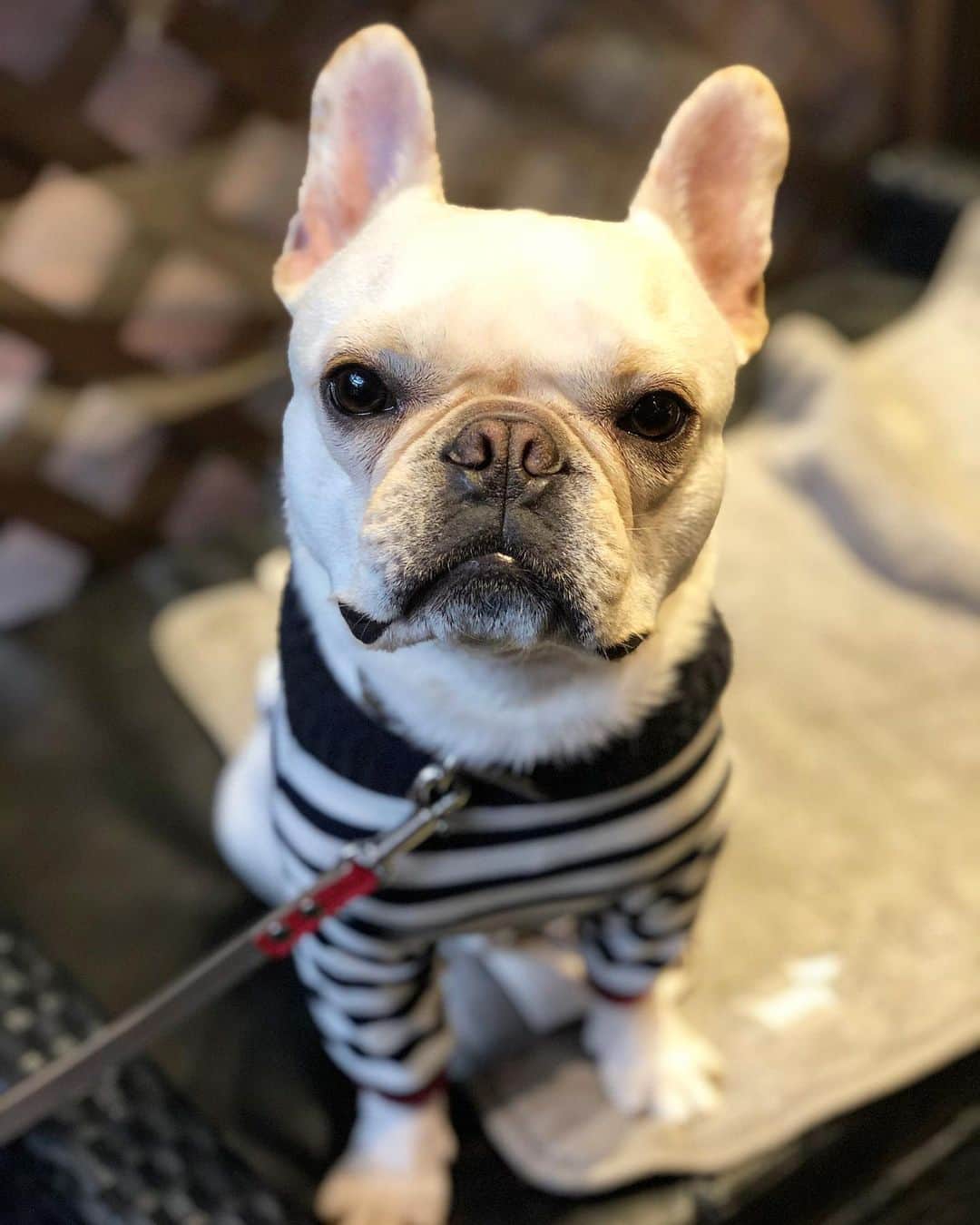 沢辺りおんのグルメインスタ