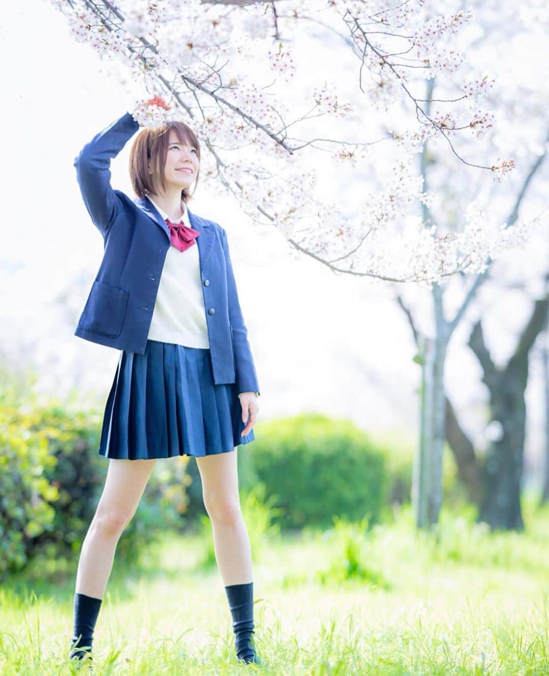 青山日和さんのインスタグラム写真 - (青山日和Instagram)「ㅤㅤㅤㅤㅤㅤㅤㅤㅤㅤㅤㅤㅤ ㅤㅤㅤㅤㅤㅤㅤㅤㅤㅤㅤㅤㅤ これ…2年前なんだって。 めちゃくちゃ昔のよう。 ※全身写真載せるとよく聞かれますが身長は162くらい。 ㅤㅤㅤㅤㅤㅤㅤㅤㅤㅤㅤㅤㅤ 本当に高校生の頃に着てた制服を着て、好きなカメラマンさんに撮ってもらっていい思い出だな📷 ㅤㅤㅤㅤㅤㅤㅤㅤㅤㅤㅤㅤㅤ ㅤㅤㅤㅤㅤㅤㅤㅤㅤㅤㅤㅤㅤ 桜ノ宮の桜並木を歩くの好き。 今年も見れるといいな🌸 ㅤㅤㅤㅤㅤㅤㅤㅤㅤㅤㅤㅤㅤ aikoさんの桜の時って曲がとっっても好きだから、 それを聴きながら歩いたりする🍺 …缶チューハイ片手に。笑 ㅤㅤㅤㅤㅤㅤㅤㅤㅤㅤㅤㅤㅤ 少し早いけど、今日聴きながら帰ろう。 ㅤㅤㅤㅤㅤㅤㅤㅤㅤㅤㅤㅤㅤ そして、 髪の毛本当に伸びたな、と感じる今日この頃です。 こんな短かったんだね。乾かすの楽そう…！ ㅤㅤㅤㅤㅤㅤㅤㅤㅤㅤㅤㅤㅤ ㅤㅤㅤㅤㅤㅤㅤㅤㅤㅤㅤㅤㅤ あと、すごく余談だけど、 高校、制服と言えば私の青春バイブルいちご100%🍓 元々メインキャラの中だと西野つかさちゃんが好きやったんやけど、大人になってから読み直すと さつきちゃん…最高やん…ってなりました。 これが大人になるってことでしょうか…（多分違う） ㅤㅤㅤㅤㅤㅤㅤㅤㅤㅤㅤㅤㅤ しかし、つかさちゃんの苦いチョコ甘くするシーンと保健室のシーンは神なんだよね。 ㅤㅤㅤㅤㅤㅤㅤㅤㅤㅤㅤㅤㅤ いや、でも、 「優柔不断の優は優しいって書くじゃない」って言ってくれる東城さんの優しさも捨てがたい。 ㅤㅤㅤㅤㅤㅤㅤㅤㅤㅤㅤㅤㅤ …ほんま、なんの話やねん。笑 ㅤㅤㅤㅤㅤㅤㅤㅤㅤㅤㅤㅤㅤ ㅤㅤㅤㅤㅤㅤㅤㅤㅤㅤㅤㅤㅤ #思い出#制服#コスプレ#制服コスプレ#2年前#桜#卒業式#テーマ#ポートレート#ポートレートモデル#桜ノ宮#桜並木#お花見#大阪観光#桜の時#aiko#cherryblossom#sakura#cosplay#japan_photo#photo#osaka」2月20日 17時33分 - hiyo131131