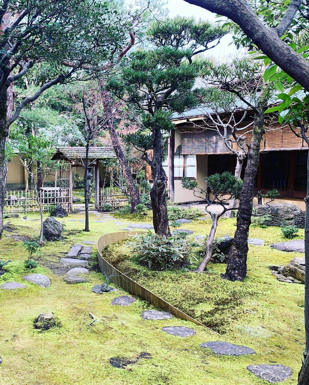 石田ひかりさんのインスタグラム写真 - (石田ひかりInstagram)「京都ロケに来ています 「有斐斎弘道館」をお借りして お手入れの行き届いたお庭の美しさ 感動しました☺️ わたし、南天の上に乗っているように見えませんか？ #にっぽんの芸能」2月20日 17時33分 - hikaringo0525