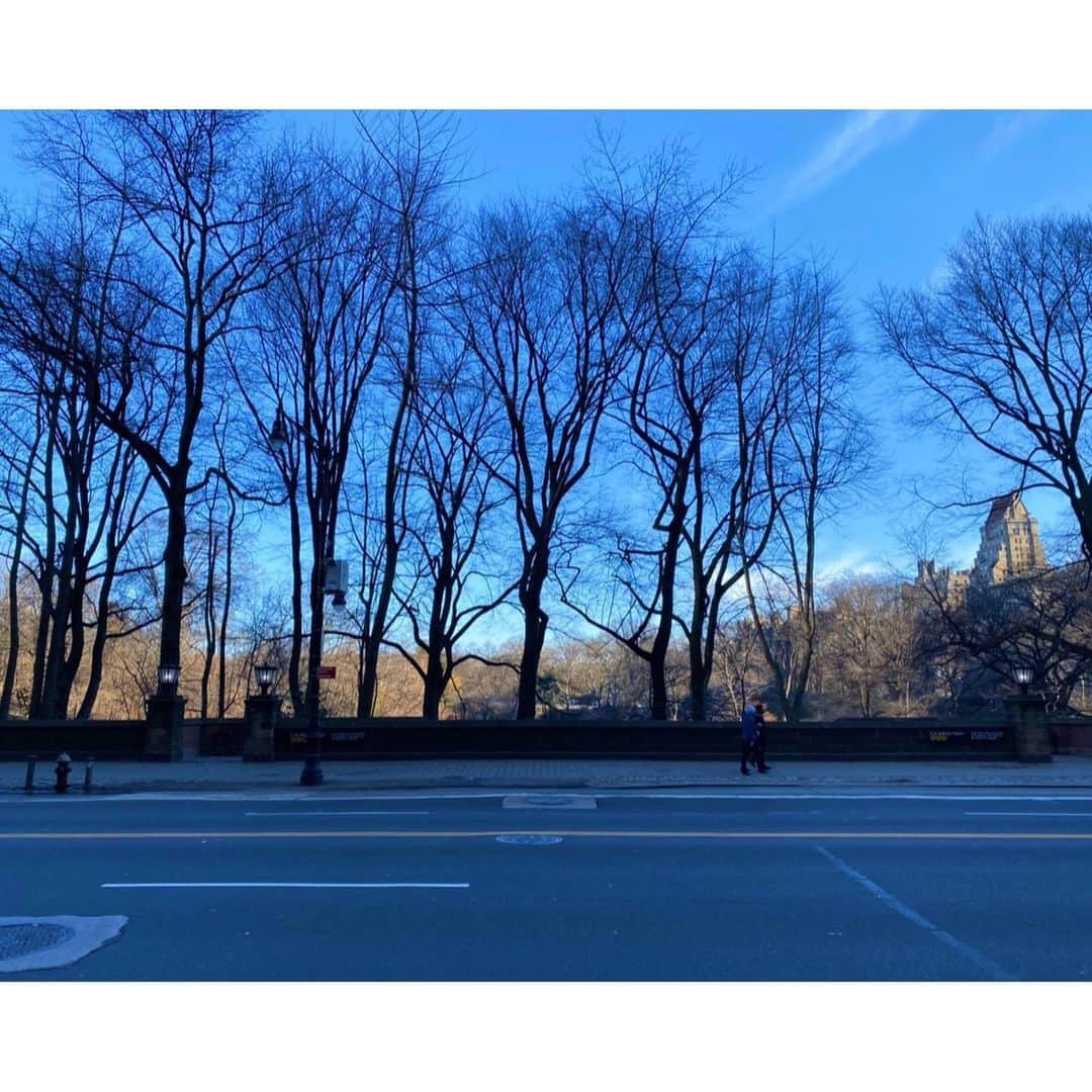 板野友美さんのインスタグラム写真 - (板野友美Instagram)「🗽🇺🇸🚕 絵になる街並み  #newyork  #ニューヨーク  #1人旅」2月20日 17時38分 - tomo.i_0703
