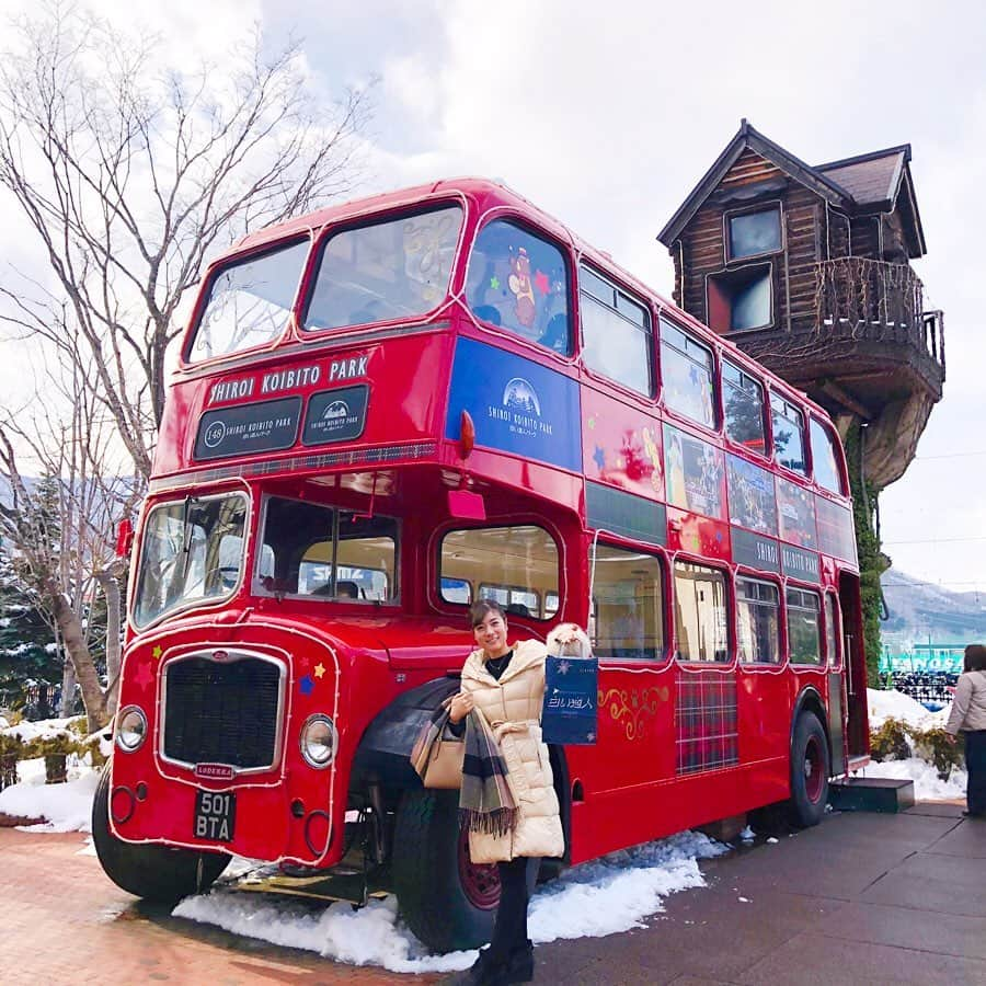 逢月あかりさんのインスタグラム写真 - (逢月あかりInstagram)「北海道といえば白い恋人❄️ . 白い恋人パークに寄って来ました❤️ . . ロンドンみたいな雰囲気で可愛かった☺️🚌 . #白い恋人パーク  #北海道#札幌#⛄️」2月20日 18時05分 - akari.ouzuki