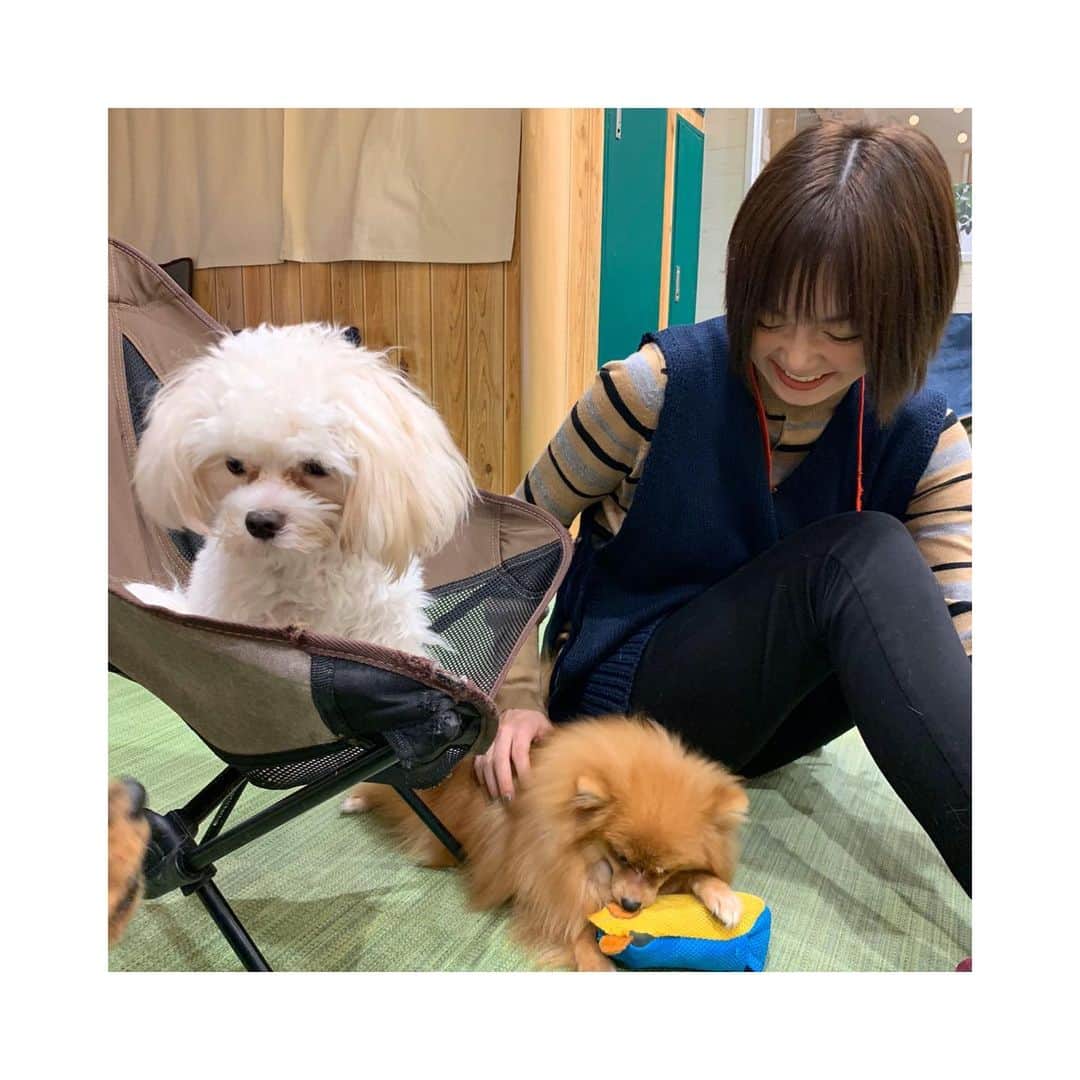 安本彩花さんのインスタグラム写真 - (安本彩花Instagram)2月20日 18時21分 - yasumoto_ayaka_official