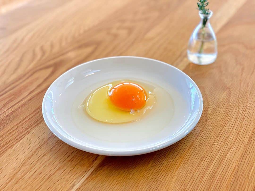 南雲穂波さんのインスタグラム写真 - (南雲穂波Instagram)「こんもり濃厚卵白が鮮度の証✨ 記憶が正しければ、人生で初めて#卵かけご飯 を食べました🥚 ・ #ドデスカ #ハヤリモン のロケで常滑市の#レシピヲ を訪れた時に、美味しい卵をいただきました😍 はりのある黄身の周りには、#濃厚卵白 がくっきりと弾むように盛り上がっています. ・ デイリーファームこだわりの"明日"という#米たまご を卵かけご飯で食べました🤗 生で食べてもくさみがなく、色の濃い黄身にコクがあって美味しかったです！ ・ レシピヲのお隣#ココテラス で買える#たまごいっぱいプリン、とろっとろな舌触りで透き通った味でした🍮 プリンは固め派でしたが、これはなめらかなプリンに目覚めざるを得ない…🥄 ・ あのお店の人気#知りたガール #常滑 #常滑カフェ #常滑ランチ #常滑グルメ #卵 #生卵 #たまご農家のキッチンレシピヲ #卵料理専門店 #とてたてたまごの店ココテラス #ココテラスの丘 たまご農家#デイリーファーム #メーテレ #アナウンサー #名古屋テレビ #もぐロケ #南雲穂波」2月20日 18時44分 - honami_nagumo_nbn