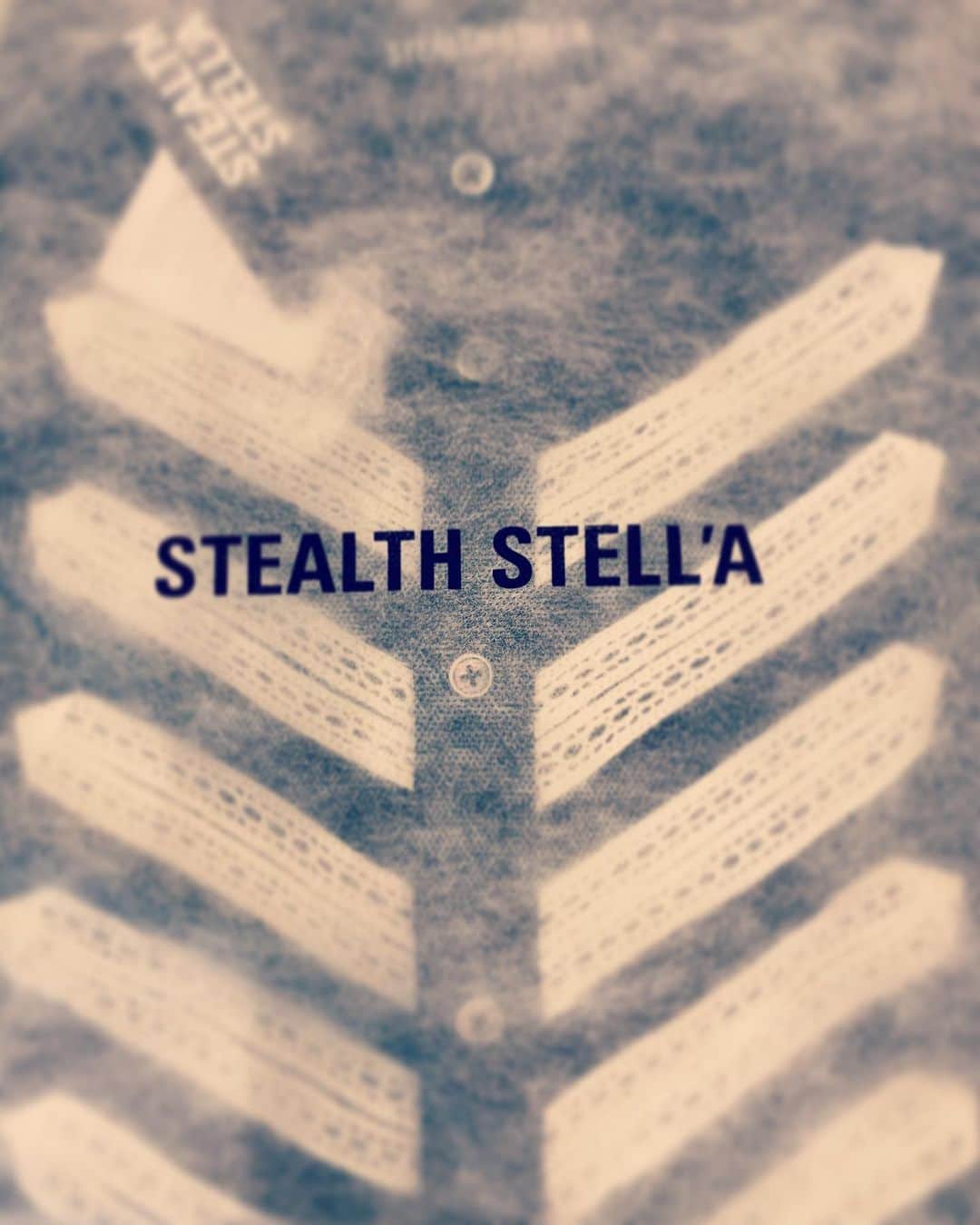 tetsuyaのインスタグラム：「#STEALTHSTELLA」