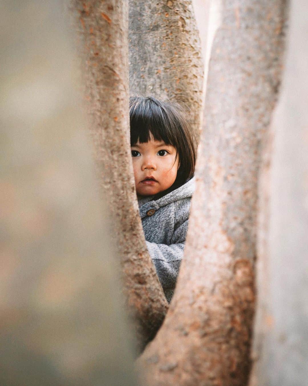 Naokoのインスタグラム：「🌳 * 言葉がだんだん通じてきて いろんな写真が撮れる気がしてきた 春が楽しみだな〜」