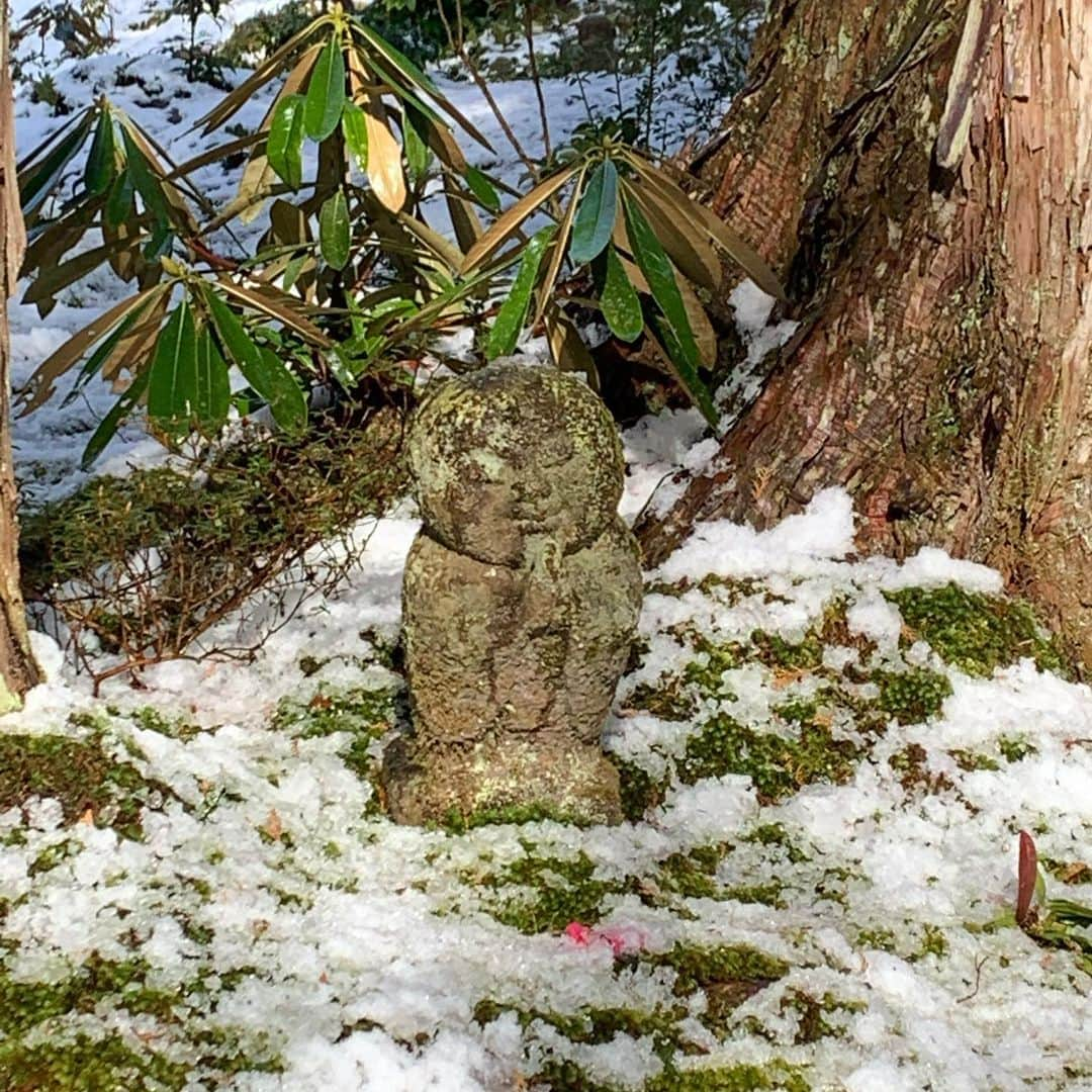 日高大地さんのインスタグラム写真 - (日高大地Instagram)「若者がエモいエモいと連呼している所で撮ったら、非常にエモーショナルな写真が撮れました🤗 松山の帰りに寄り道✨ 1.2 倉敷　美観地区 3.4.5.6 京都　大原三千院　伺った日がたまたま初午大根焚きの時期で美味しいお大根焚きをいただきました😋 7.8 京都といったら出町ふたばの黒豆大福！これ大好き💕品の良いお味の餡子。 9 岩田健ミュージアムの入口」2月20日 20時01分 - yoko92hidaka