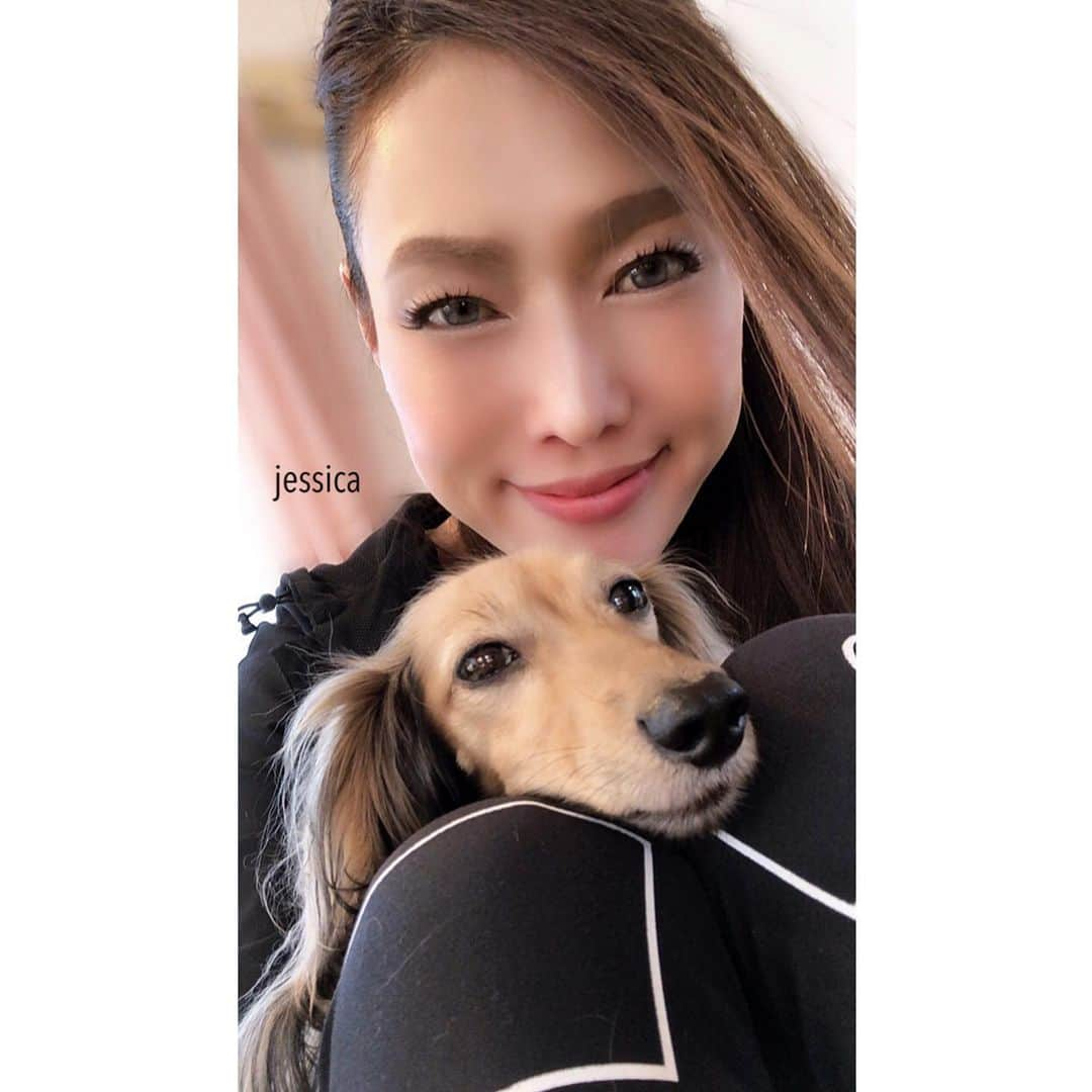 jessicaさんのインスタグラム写真 - (jessicaInstagram)「＊ ＊ ＊ #愛犬#カニンヘンダックス#大切な家族🐶 #アラフィフ#S47年式#ワークアウト ＊ 今日は心友が 他県から会いに来てくれた❤️ いつも心配し 味方でいてくれてありがとう… Instagramでも 応援、共感して下さる繋がりに感謝です… #大切な人は大切に ＊ Thanks always‼︎ jessica❤︎」2月20日 20時31分 - jessica.oct21