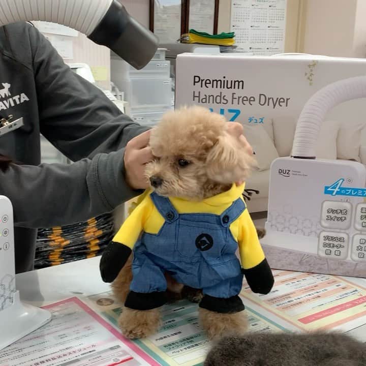 ❤︎Till❤︎のグルメインスタ