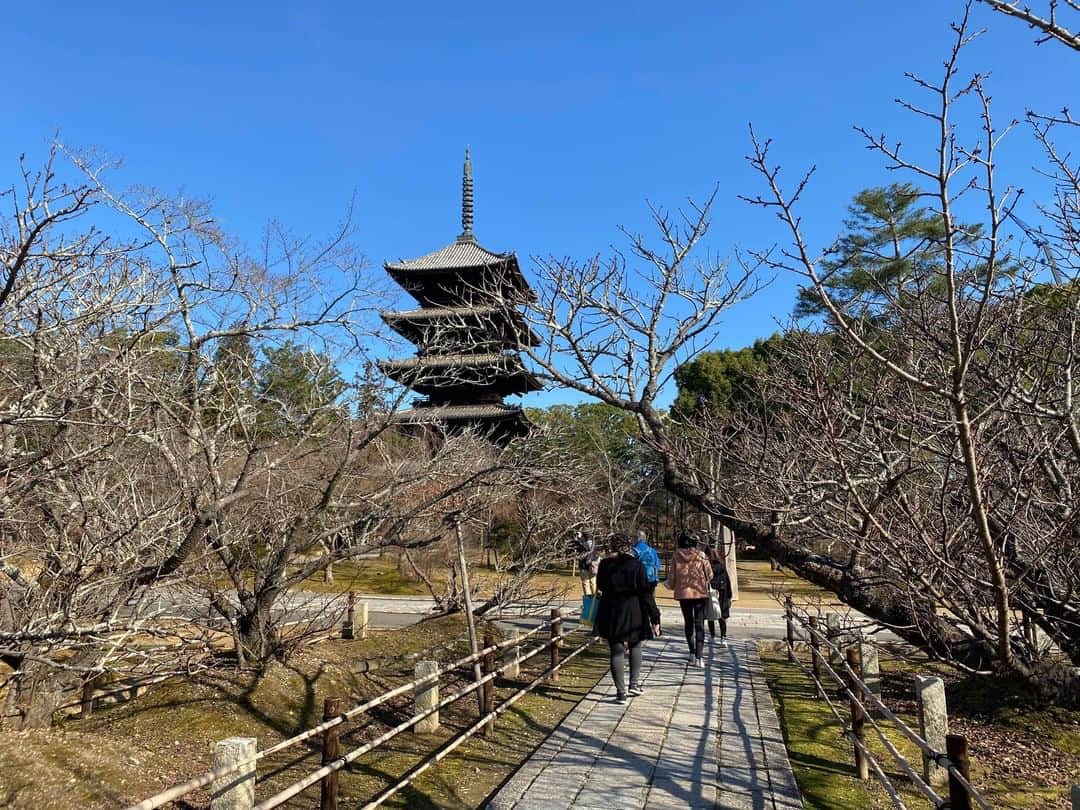 MagicalTripさんのインスタグラム写真 - (MagicalTripInstagram)「Hello! This is MagicalTrip @magicaltripcom. It has been so long since the last post. Sorry for that. Today, we are here to release new tours. The first tour is going to be Kyoto UNESCO Historical Walking Tour.  In this tour, you will be visiting Ninnaji temple, Ryoan-ji temple, and Golden Pavilion. This will be the introduction of Kyoto and it is one of the best ways to see around the area.  Here is the reason: Know more about Japanese emperors Feel and learn the art of Zen Learn the rich history of Japan and  experience Japan's traditional culture including matcha and Shakyo(sutra copying). If you are interested, please check out the tour from the link in the bio! @magicaltripcom  #magicaltrip #magicaltripcom #walkwithlocals #traveldeeper #localguide #localguides #japantravel #japantrip #japanbeauty #japannature #japantour #kyoto #kyototour #kyototrip #barhopping #kyotofood #kyotonature #kyotolocal #kyotogram #instakyoto #ninnaji #ryoanji #goldenpavilion #temples #zen #japanhistory #macha #japantemple #worldheritage #UNESCO」2月20日 21時00分 - magicaltripcom