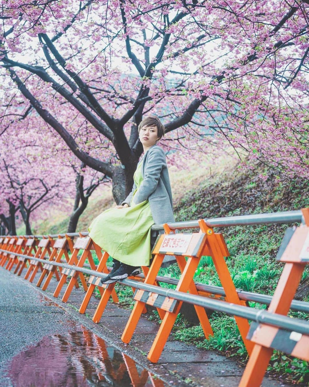 kenta_soyoungさんのインスタグラム写真 - (kenta_soyoungInstagram)「sakura no sitataru-ii-on-na. . . . . #桜の滴るいい女 . . . model: @ex0508075」2月20日 21時12分 - kenta_soyoung