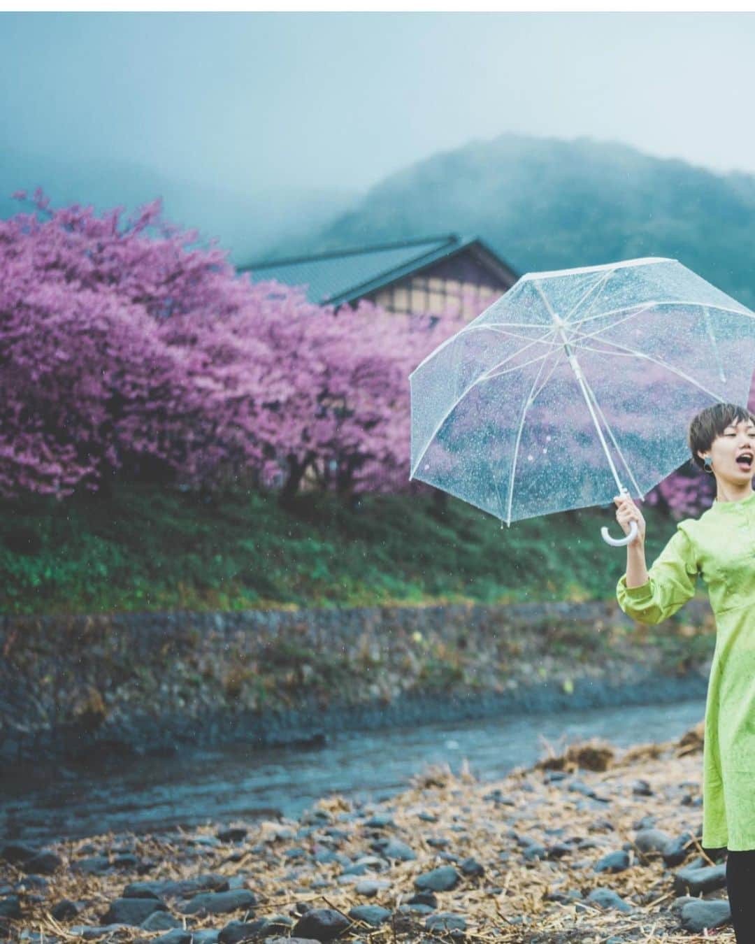 kenta_soyoungさんのインスタグラム写真 - (kenta_soyoungInstagram)「sakura no sitataru-ii-on-na. . . . . #桜の滴るいい女 . . . model: @ex0508075」2月20日 21時12分 - kenta_soyoung
