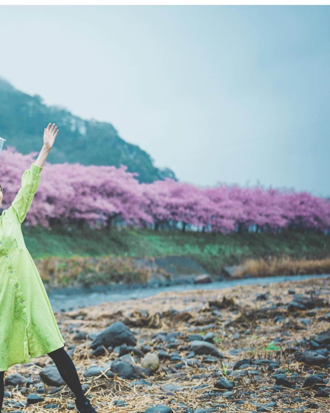 kenta_soyoungさんのインスタグラム写真 - (kenta_soyoungInstagram)「sakura no sitataru-ii-on-na. . . . . #桜の滴るいい女 . . . model: @ex0508075」2月20日 21時12分 - kenta_soyoung