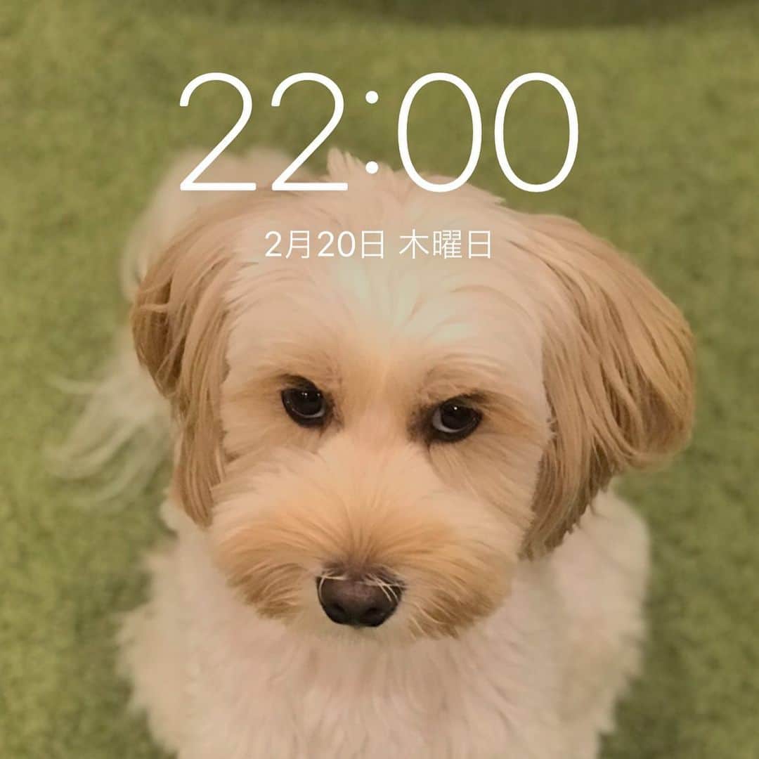 北山陽一のインスタグラム：「2202200」