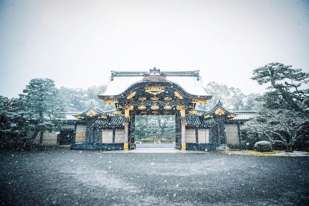 京都いいとこフォトのインスタグラム：「. 元離宮二条城 @nijojocastle 吹雪の中の幻想的な唐門 .​​​ Fantastic Karamon in a snowstorm. . Date : 2020.2.18 Location : #二条城​ #nijojo Photo : @kohei713 .​ ​」