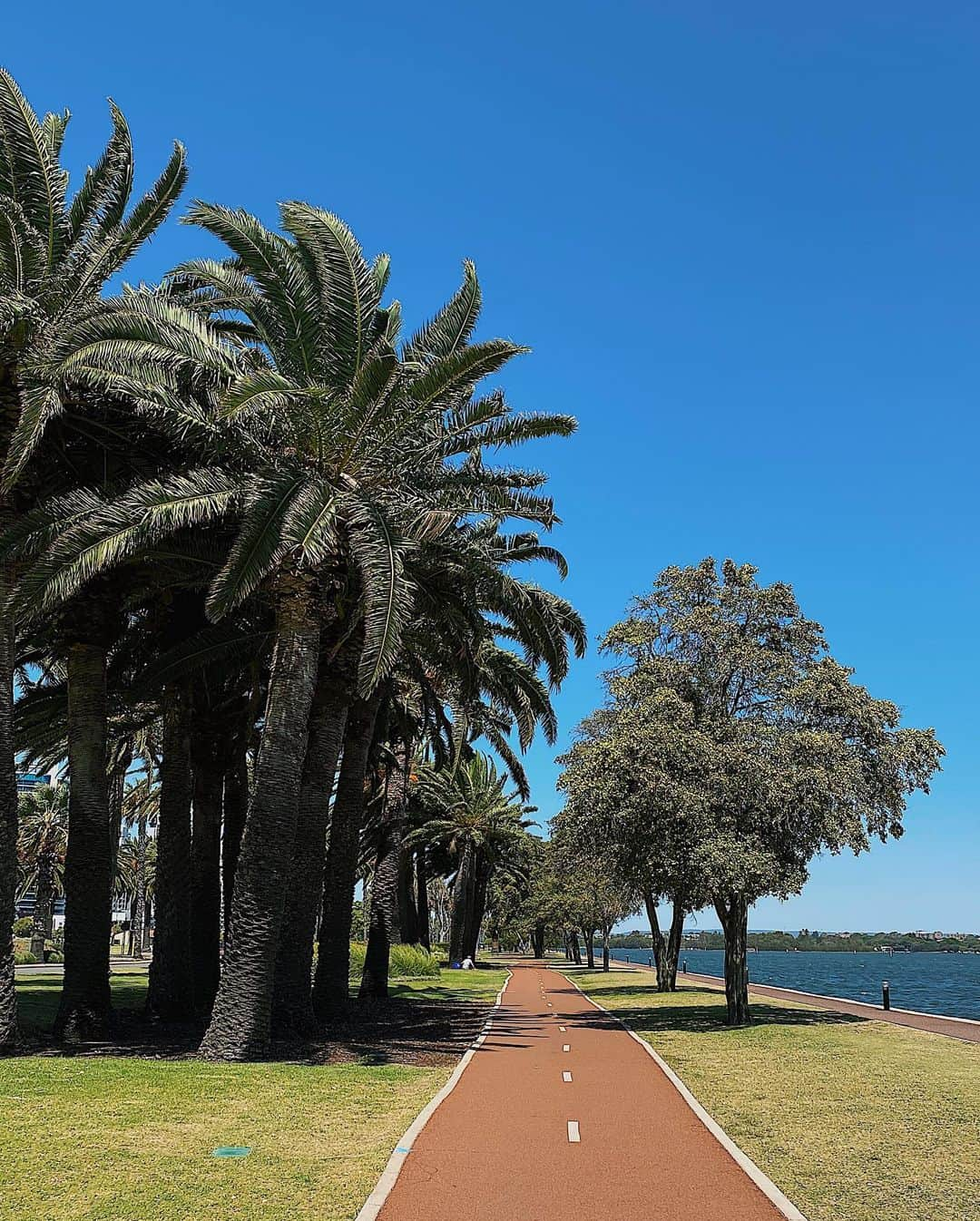 吉田ももみさんのインスタグラム写真 - (吉田ももみInstagram)「.🤴🇦🇺﻿ ﻿ my favorite places 💛﻿ ﻿ ﻿ #momomi_trip2020﻿ ﻿ ﻿ #kingstreet #swanriver #panpacificperth #perth #australia #travel #travellover」2月20日 22時58分 - moo3oom_