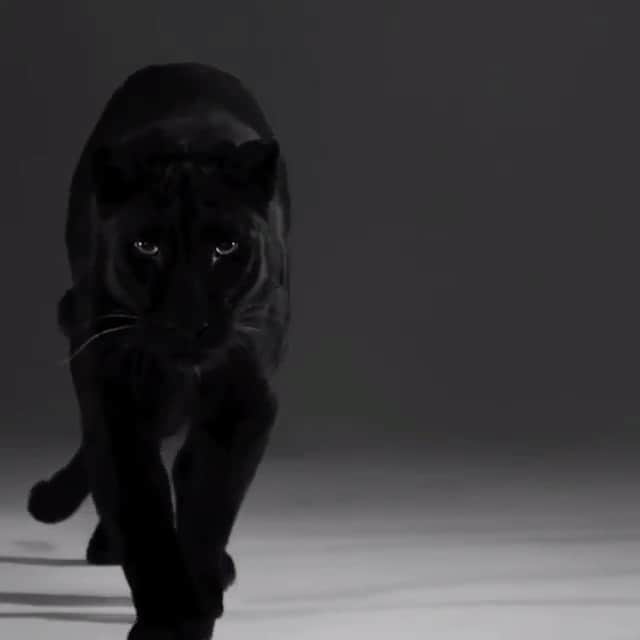 ショーンジョンのインスタグラム