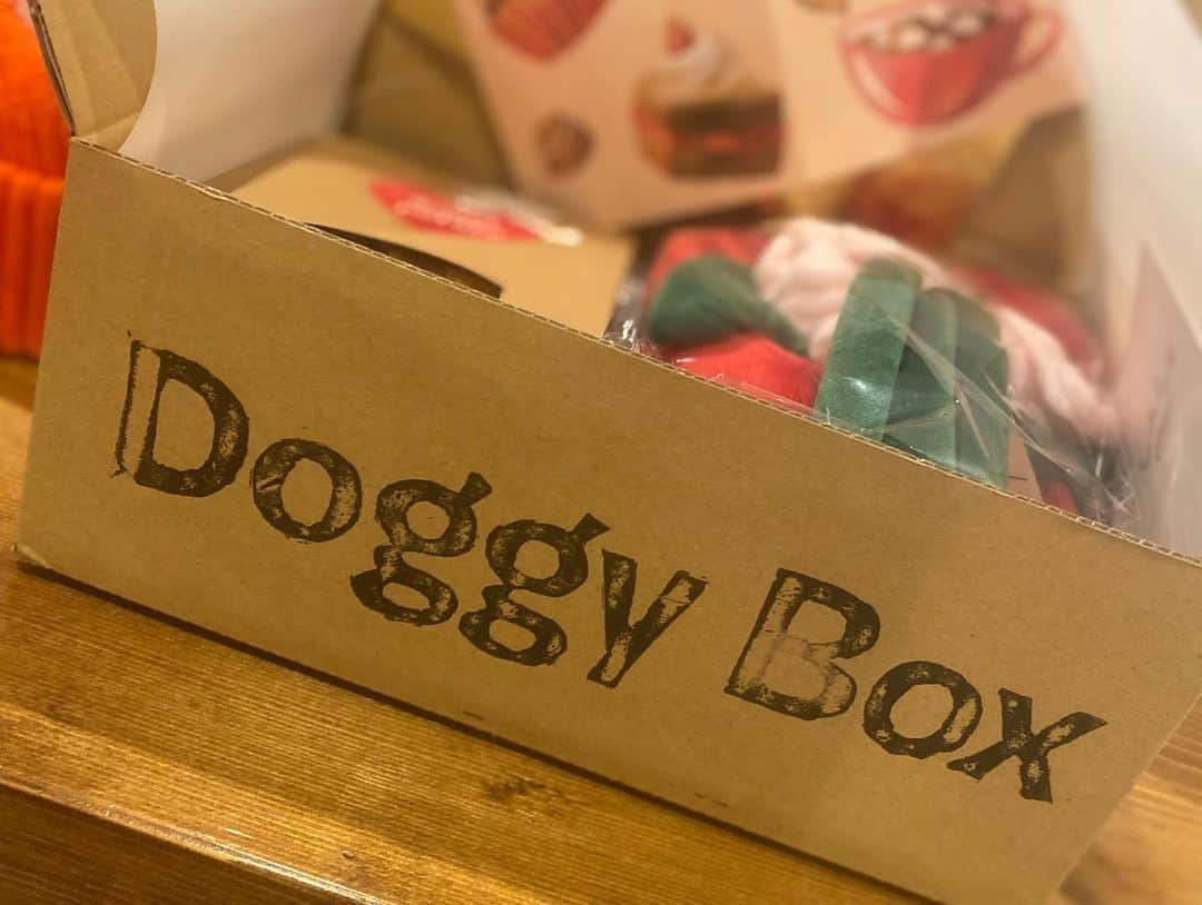 尾形貴弘さんのインスタグラム写真 - (尾形貴弘Instagram)「ミクの誕生日&バレンタインで @doggybox_jp さんから プレゼント頂きましたーー！！ これ毎回ミク喜ぶんだよなー！！ 美味しくて安心なオヤツも入ってる！！サンキューーー！！！ しかし、ミク美人だな。。。 #柴犬大好き #柴犬マニア  #愛犬  #赤柴 #しばけん  #しばちゃん  #しばいぬ大好き  #shibainu  #shiba_snap  #犬ばか部  #いぬばか部 #ミク #三九 #39 #パンサー尾形 #赤ちゃん #赤ちゃんのいる暮らし #赤ちゃんと犬 #1歳11ヶ月 #ミクサクタカヒロ #サンキュー #ママリ #ベビフル」2月20日 23時49分 - miku3_miku_9