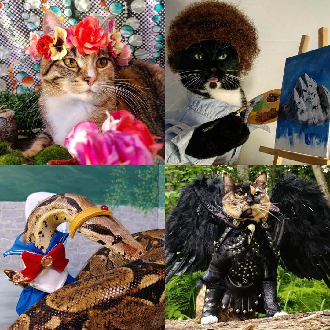 猫コスプレさんのインスタグラム写真 - (猫コスプレInstagram)「Be they cute, creative, magical ...