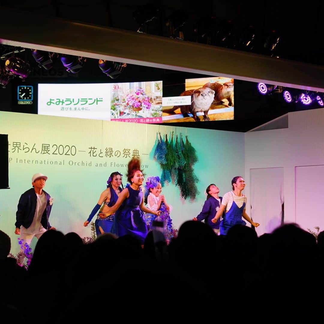 前田有紀さんのインスタグラム写真 - (前田有紀Instagram)「今日は東京ドームで開かれた世界らん展のステージ「青い花のダンスストーリー」へ。 gui flowerはお花の装飾で参加・出演しました。 おかげさまでステージ席は満席で、みなさんが笑顔で見守ってくださったのが、ステージの上からもよくわかりました！ . ドイツのノヴァーリスの未完の小説「青い花」の物語からインスパイアされた今回のストーリーは、女の子がたくさんの花の妖精に出会って成長していく様子をダンスとお花で表現しました。お花をチョーカーにしたり、タイツや傘にお花を忍ばせたり、色んな形でお花を登場させました。最後には150本の青いカーネーションをお客様に配る演出も。 . . 「花を買って誰かに贈る」「自分のために飾る」以外にも色んな形でお花が身近になるような体験を深めてもらえたら、という思いでダンス×お花のコラボレーションを企画しました。見てくださった方の心に残るものになっていたら、本当に嬉しいです。 . ご来場くださったお客様のみなさま、企画に協力してくださった東京ドームのみなさま、素晴らしいダンスを見せてくれたマホさん率いるチームの皆さま、@mjc_dance_company  本当に本当にありがとうございました！ そして、抜群の人柄でみんなをまとめてくれた櫻井さん。special thanks to @ayacherryno 💕 . . #世界らん展2020#世界らん展#青い花#花#ボタニカル#多肉植物#gui#guiflower#フラワーデザイン#フラワー#デザイン#blue#flower」2月21日 0時22分 - yukimaeda0117