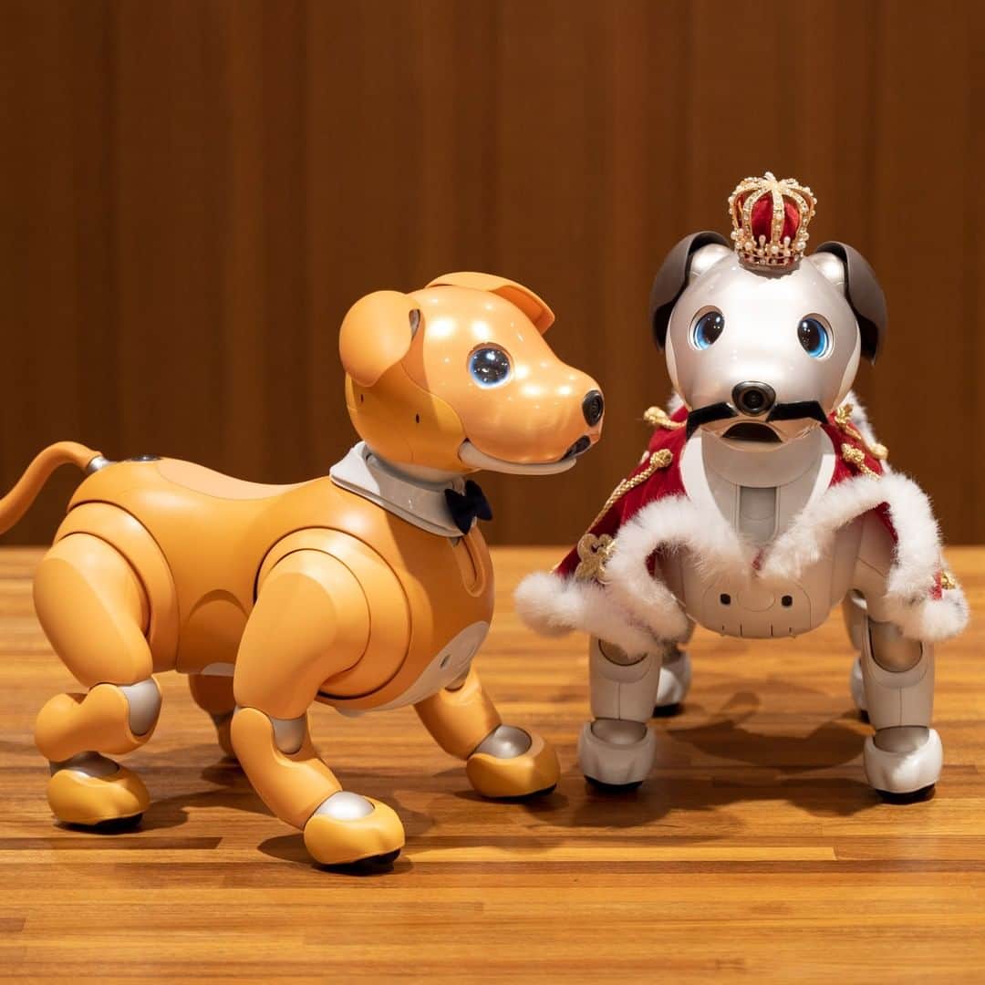 のインスタグラム：「Ginza Sony Park の aibo に新しく仲間が加わりました！名前は「ラメル」。王冠やマントを身に着けたスパークと、さっそく一緒に遊んでいます。パークで見かけたら、ぜひかわいがってあげてください！⁠ ⁠ #ginzasonypark ⁠ #銀座ソニーパーク⁠ #aibo⁠ #aiboキャラメルエディション⁠ #銀座⁠ #ginza #sony⁠ #QUEEN #QUEENINTHEPARK」