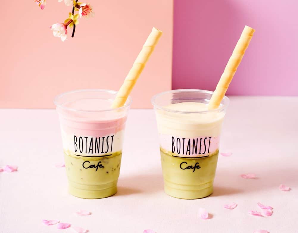 BOTANIST GLOBALさんのインスタグラム写真 - (BOTANIST GLOBALInstagram)「【SPRING MENU🌸】 Experience the cherry blossom season with chocolate drinks and botanical food, available for a limited time at Botanist Tokyo in Omotesando. ⠀ ⠀ A whole new spring menu, available throughout spring! Bring the scent of the cherry blossoms outside with you with this new cherry blossom colored spring series. Most things on the menu are available take-away, so why not grab to go while having a picnic or hanami outside?😉✨ ⠀ ⠀ Come by and enjoy the full blooming season!  Period: 1st Feb to 12th April ⠀ 🌸PIC 2: ⠀ ✔︎ SPRING BURGER *With drink, available takeaway, 1430 Yen (Tax incl.) ⠀ 🌸PIC 3: ⠀ ✔︎ SPRING CARBONARA *With drink, VEGAN,1330 Yen (Tax incl.) ⠀ 🌸PIC 4: ✔︎ SPRING HOT CHOCOLATE  Available between 1st-29th Feb, available takeaway, 800 Yen (Tax incl.) A collaboration with chocolatier Dark K, a hot chocolate made with spring toppings. 🍫 A unique drink made with Bean to Bar chocolate.🍓 ⠀ 🌸PIC 5: ✔︎ SPRING ICED CHOCOLATE ｜STRAWBERRY / CHEESE  1st March-12th April, available takeaway for a limited time. 800 Yen (Tax incl.) ⠀ ⠀ Stay Simple. Live Simple. #BOTANIST ⠀ ⠀ ⠀ ⠀ 🛀@botanist_official 🗼@botanist_tokyo 🇨🇳@botanist_chinese」2月21日 10時36分 - botanist_global