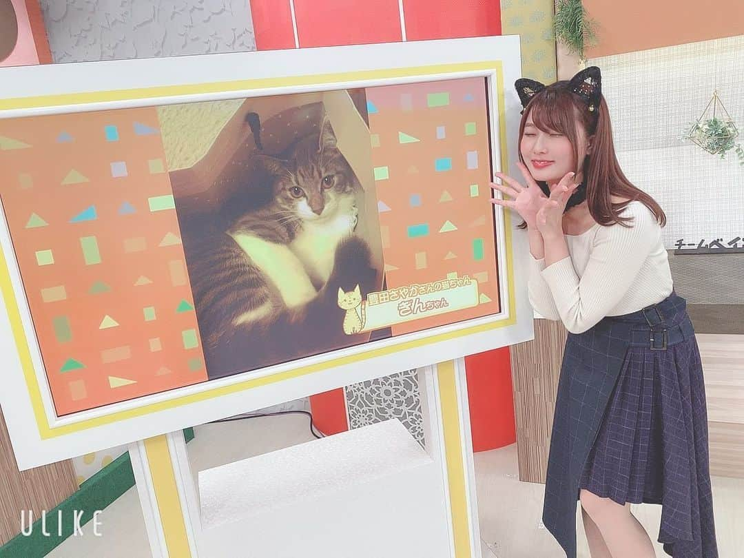 豊田さやかさんのインスタグラム写真 - (豊田さやかInstagram)「2月22日 にゃんにゃんにゃん は猫の日ですにゃ！ #チームベイコム では猫の日にちなんで猫ちゃん特集です🐈💕 そしてなんと、私の愛猫、ぎんさんも登場します！ ぎんさんついにテレビデビュー📺😻 今日21日お昼12時〜更新です！  チームベイコム、毎日放送中！ 12時〜、19時〜、24時〜  ベイコムエリア内の方は絶対見てね〜！ #豊田さやか #おとよ #ベイコム #チームベイコム #猫の日 #2月22日 #尼崎 #大阪 #猫 #タレント #モデル #関西 #リポーター #フォローミー」2月21日 10時46分 - toyosaya1230