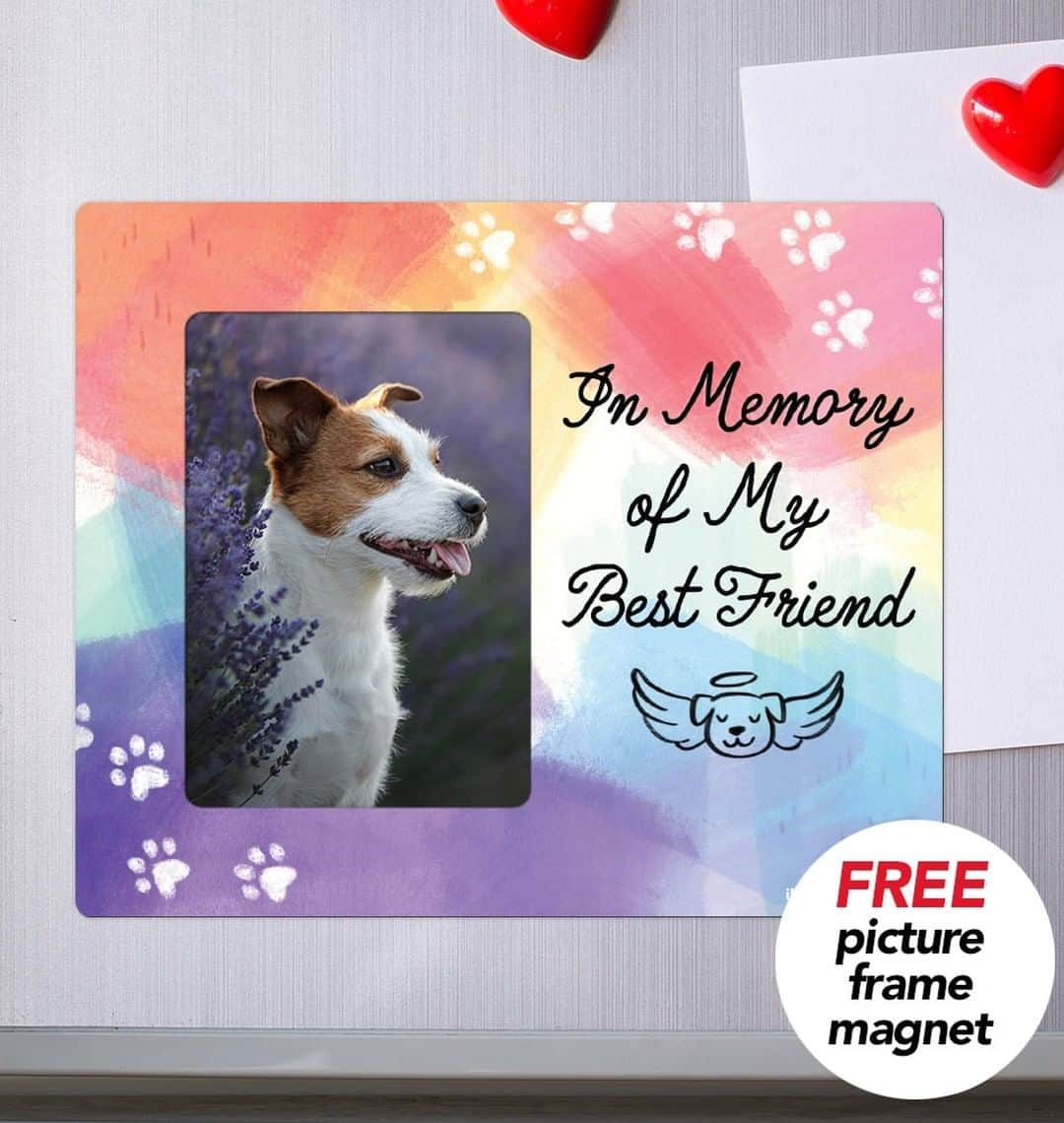 Animalsのインスタグラム：「Do you have a furry friend waiting at the Rainbow Bridge?  We'd love to give you a free gift in their memory! Request yours 👉Link in @iheartdogscom bio.」